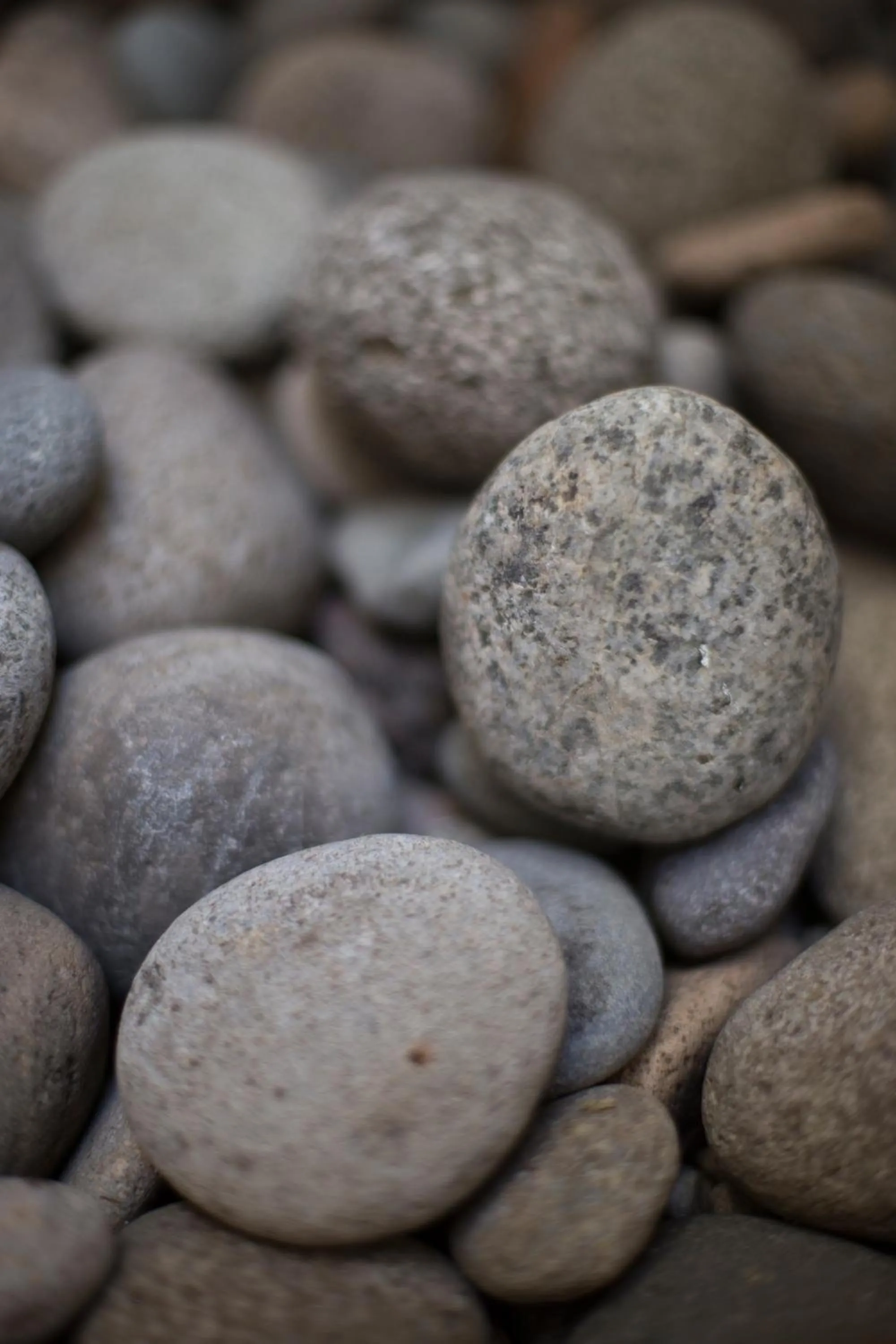 Patio in Hotel UTHGRA de las Luces