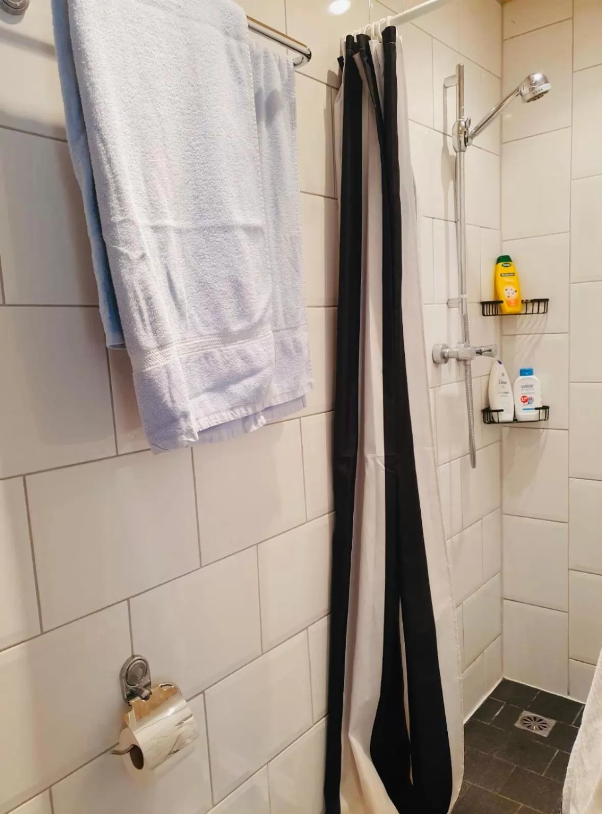 Shower in Imagine My B&B