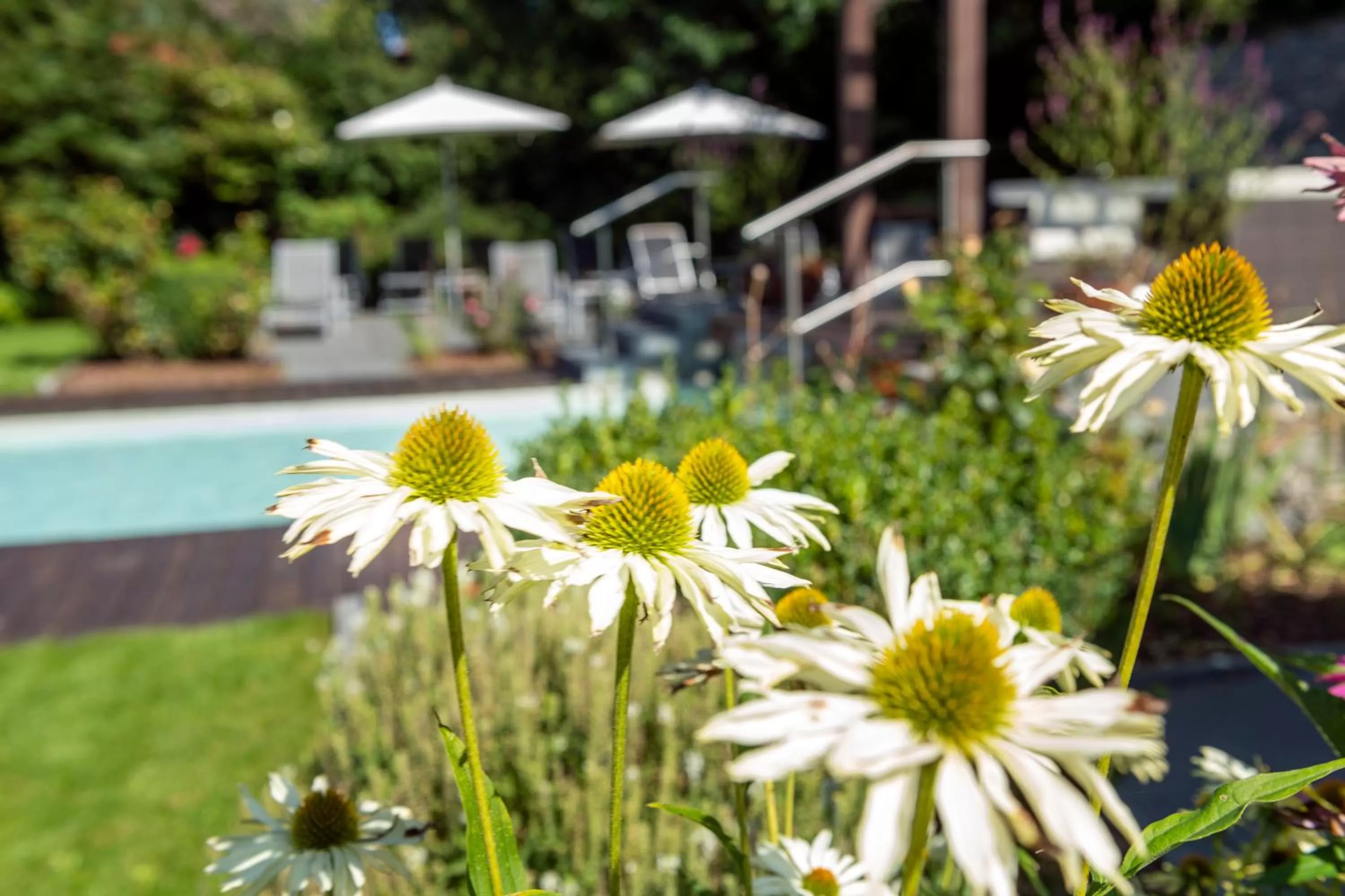 Garden in Ferienhotel Haus Becker