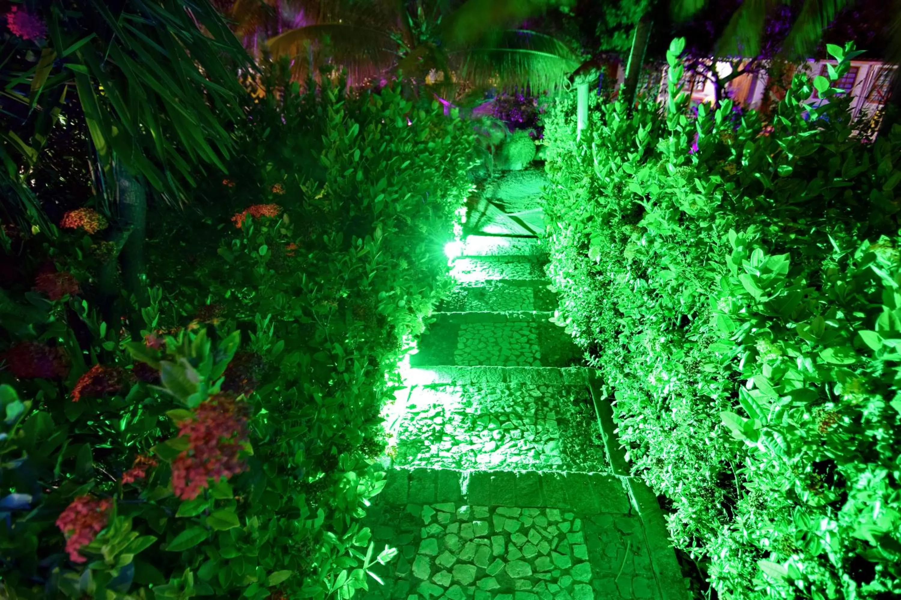 Garden in Pousada Ipitanga IV