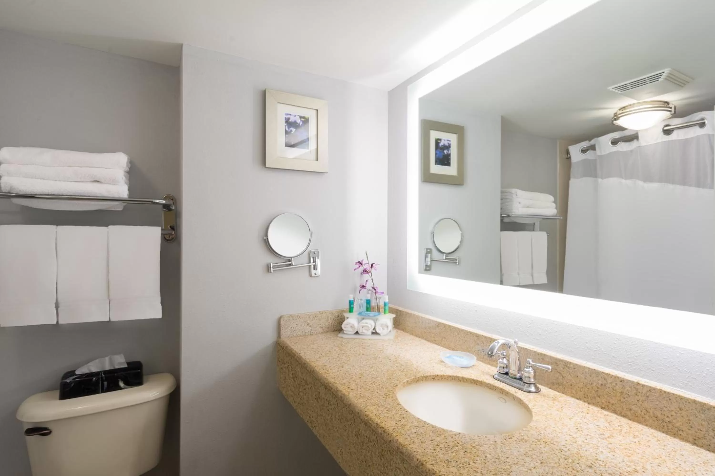 Bathroom in Holiday Inn Express Hotel & Suites Easton by IHG