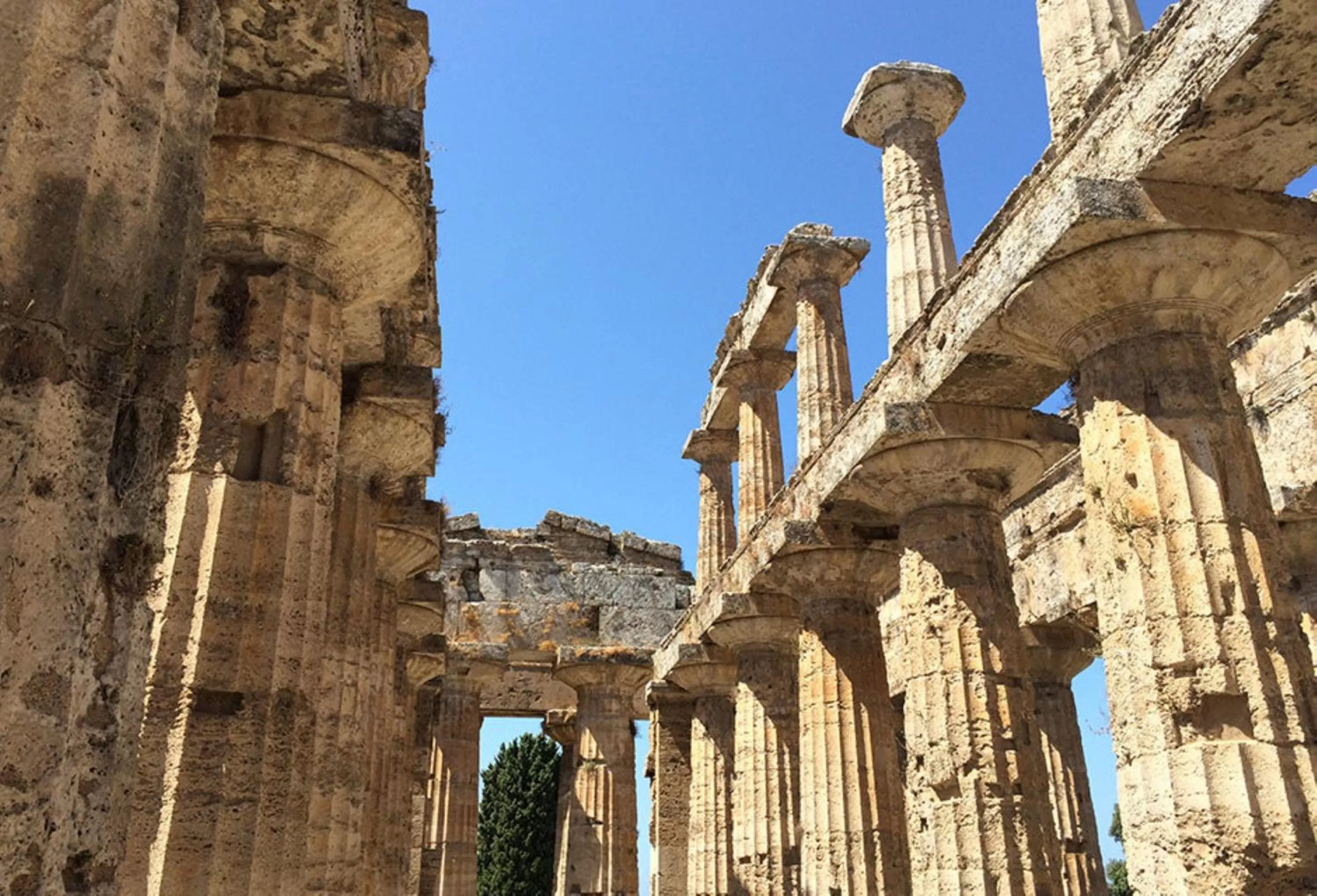 Nearby landmark in Mec Paestum Hotel