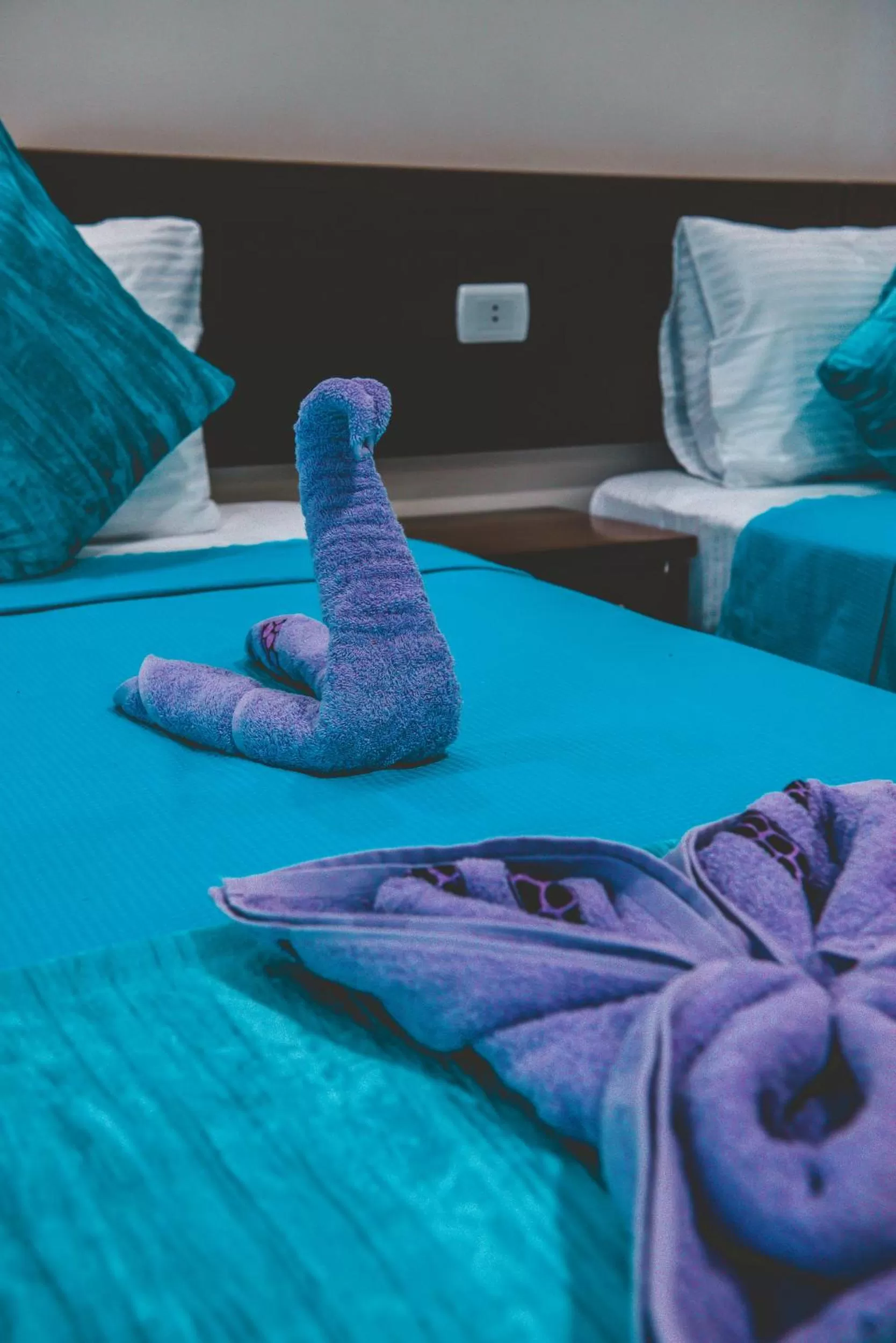 Bed in Seaview Panorama Boatel