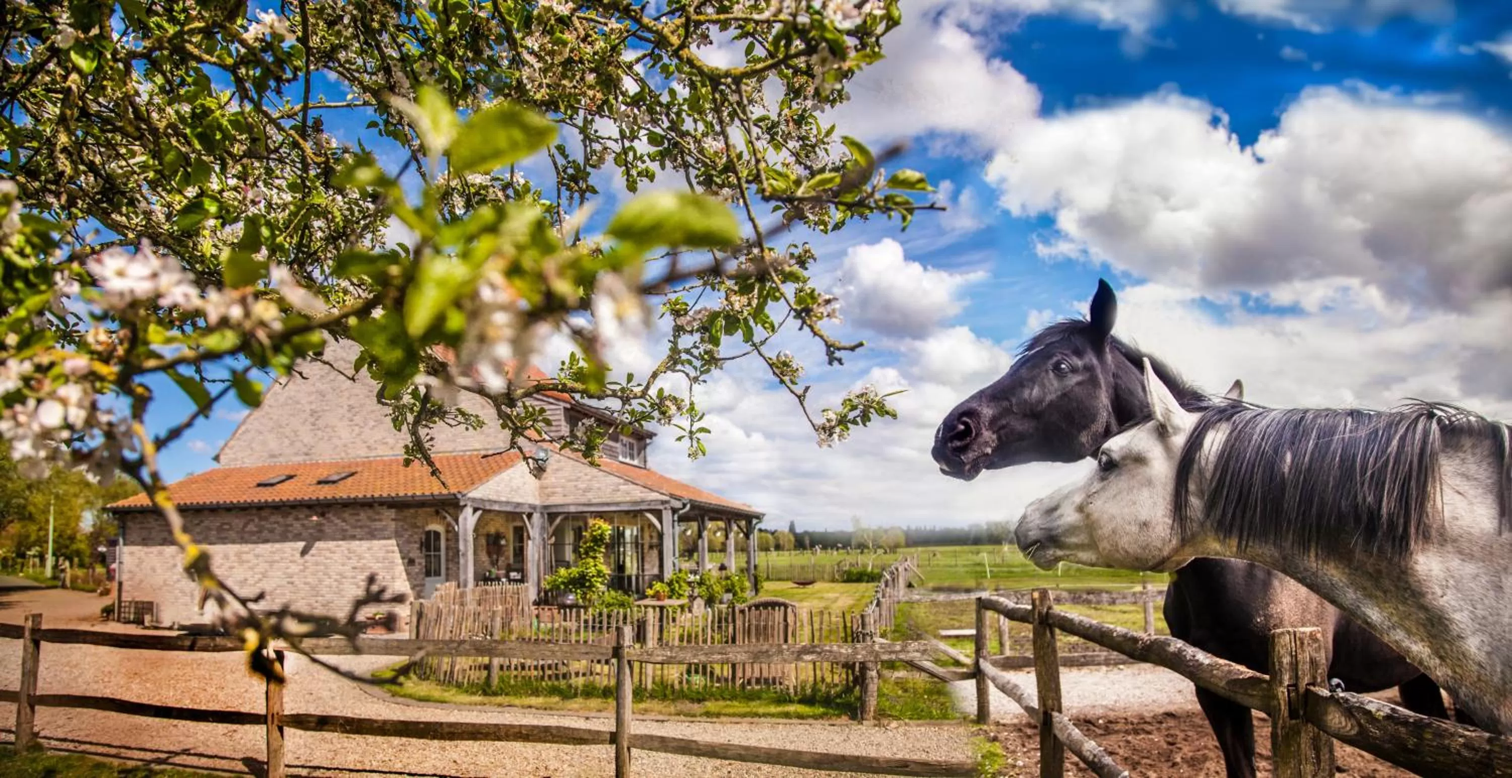 Facade/entrance in B&B De Vossenbarm