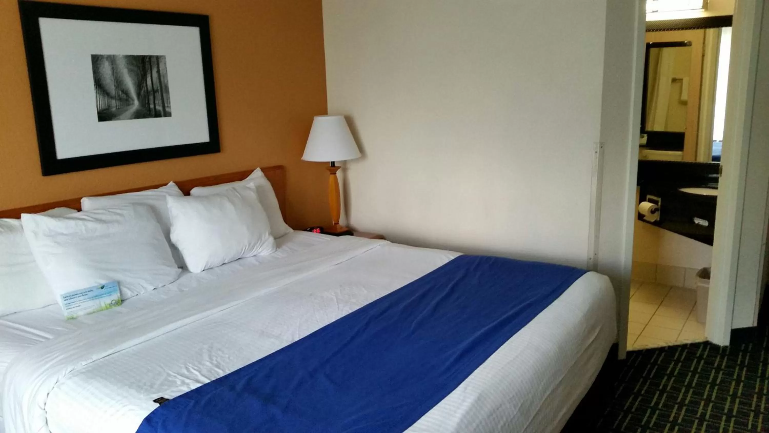 Bedroom, Bed in Days Inn by Wyndham Chattanooga/Hamilton Place