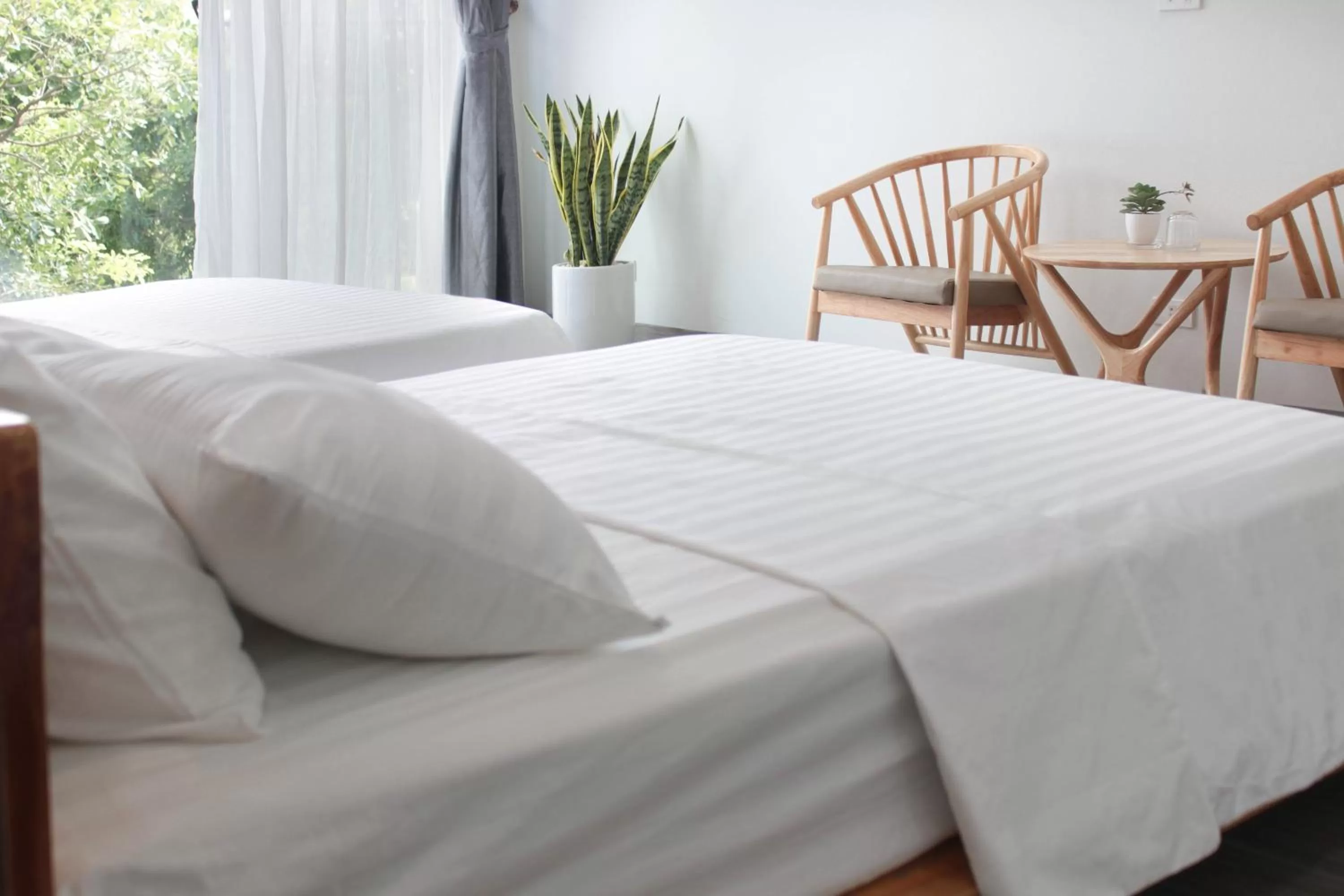 Bed in ᴛᴀᴍ ᴄᴏᴄ ᴄᴏᴄᴏᴏɴ ʜᴏᴍᴇsᴛᴀʏ