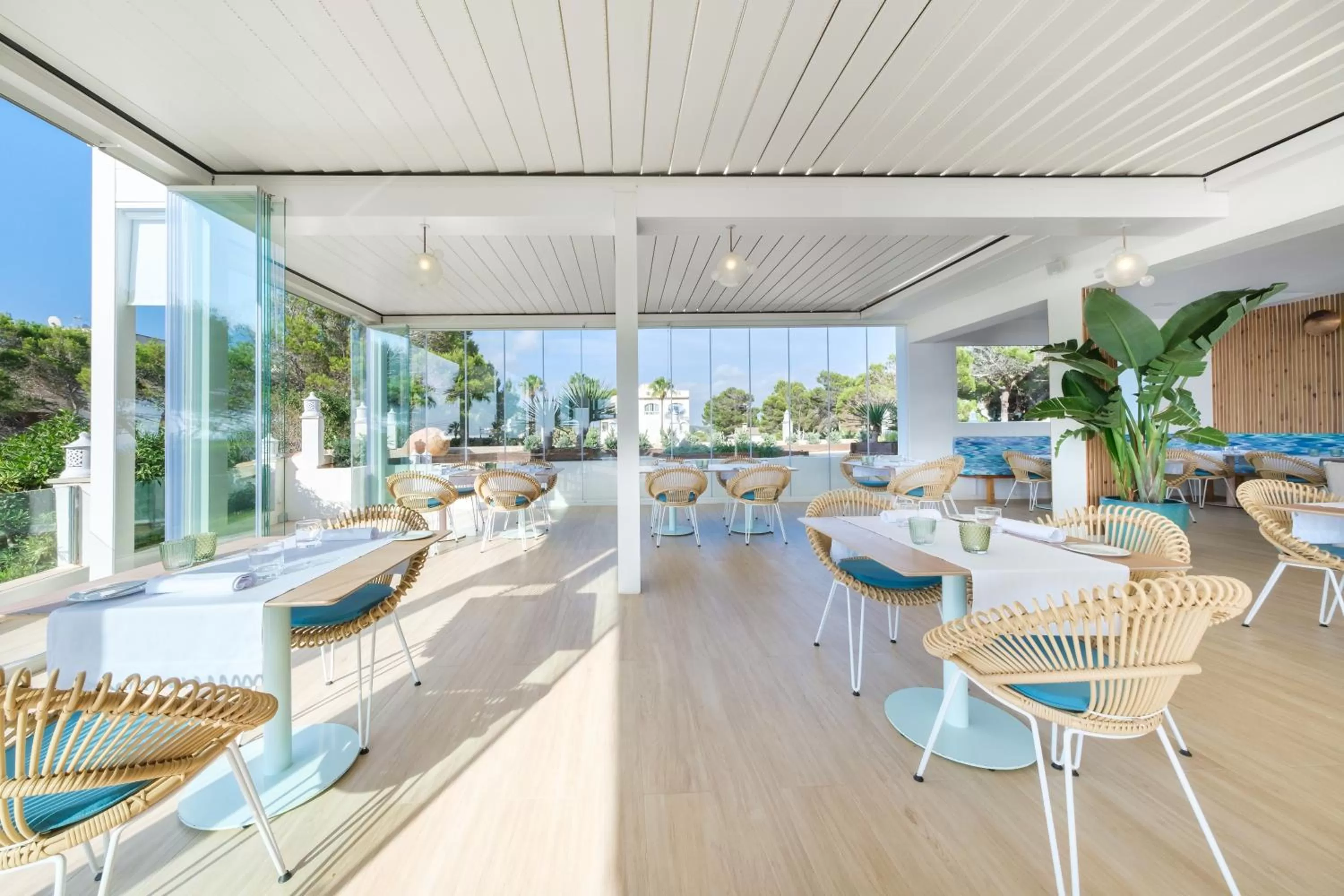 Restaurant/places to eat in Hotel Villa Chiquita - Adults Only - Over 12