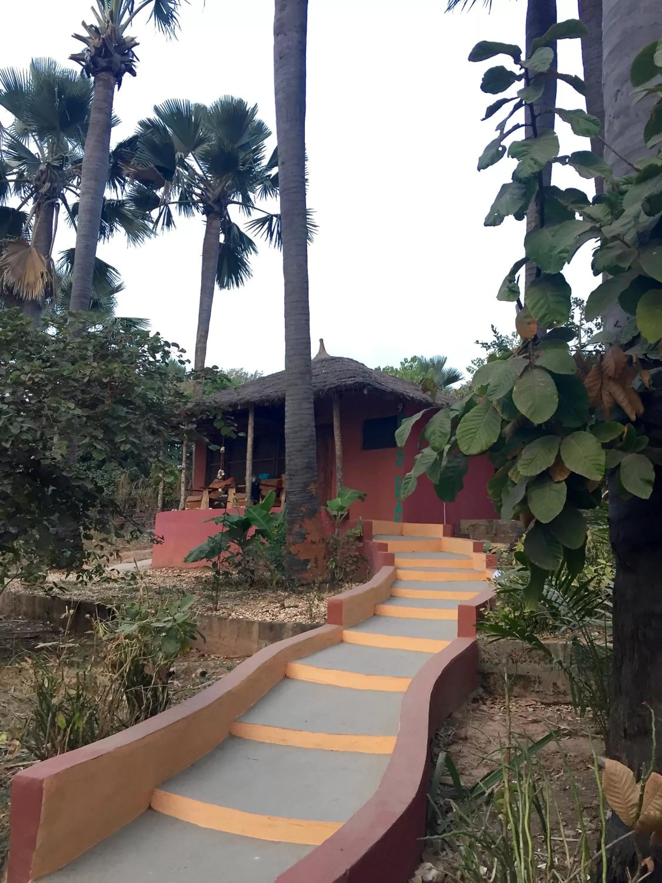 Garden view in Nemasu Eco-lodge