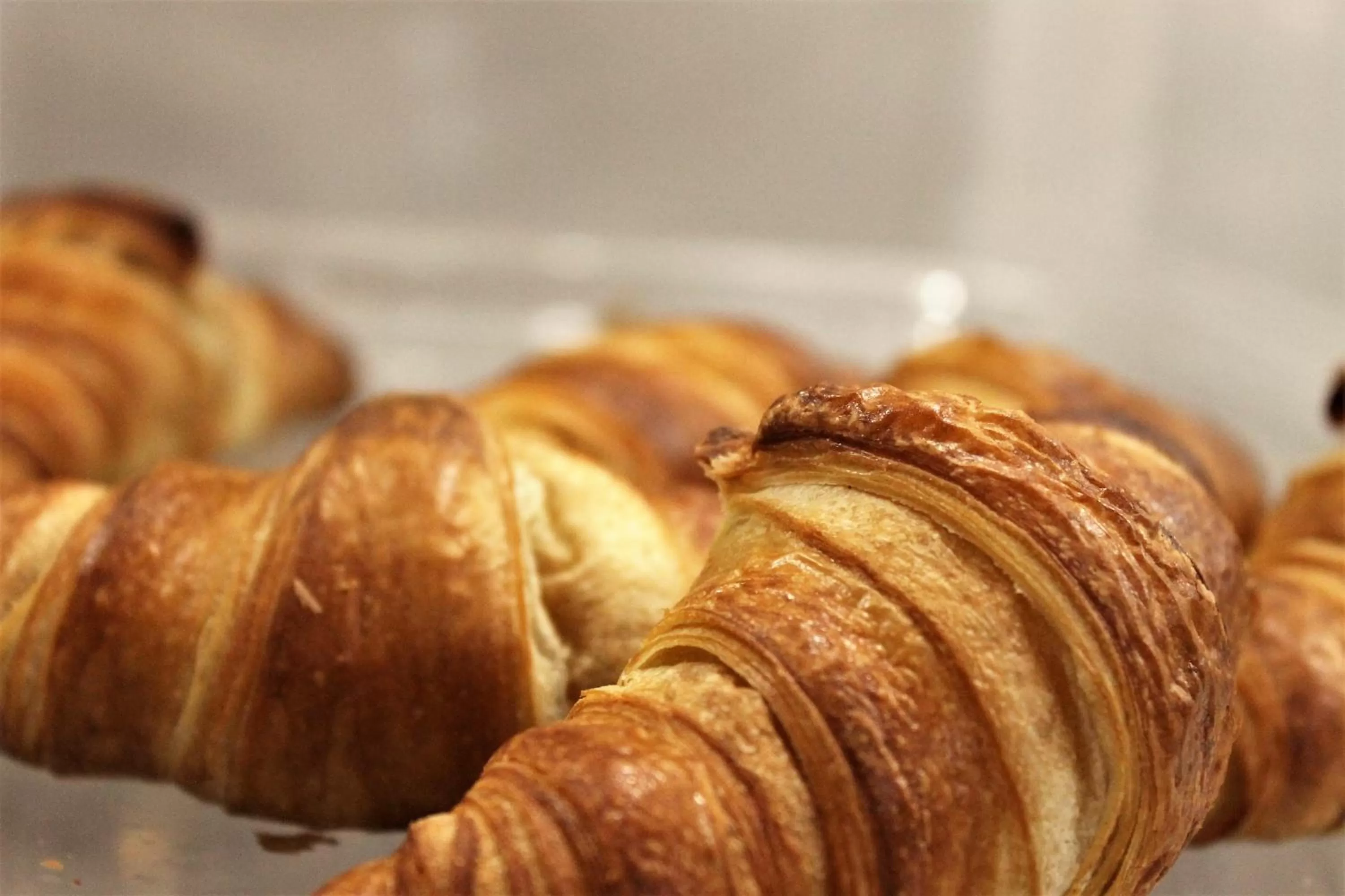 Breakfast in Best Western Laval-Montreal & Conference Centre