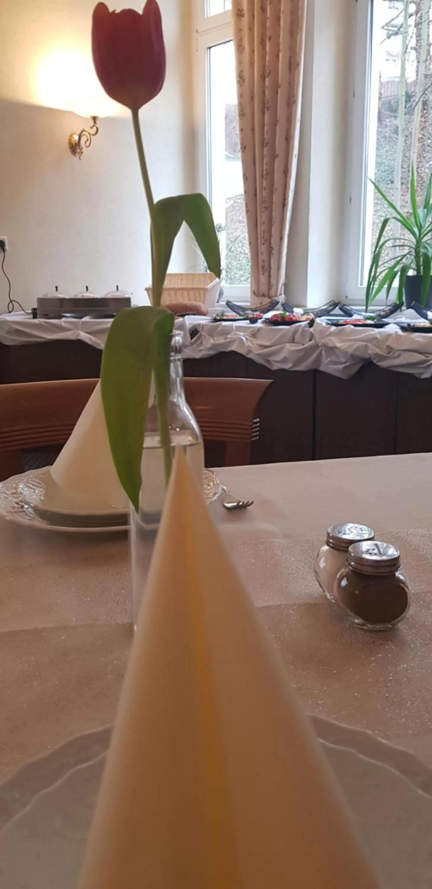 Breakfast in Hotel Altberesinchen