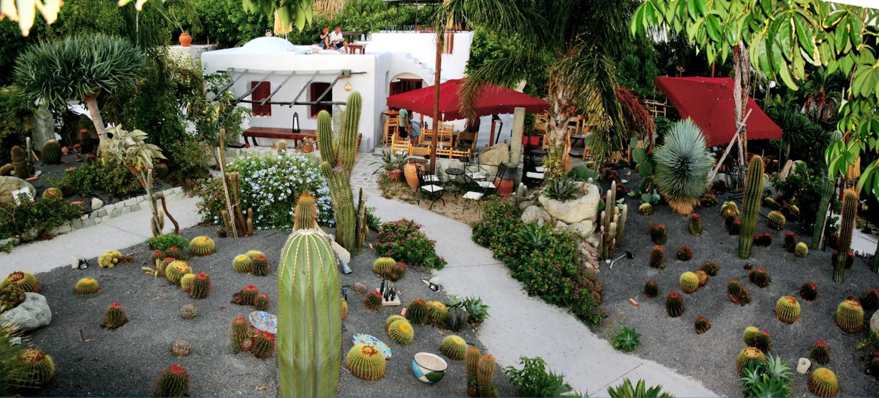 Garden in Villa Ravino Aparthotel