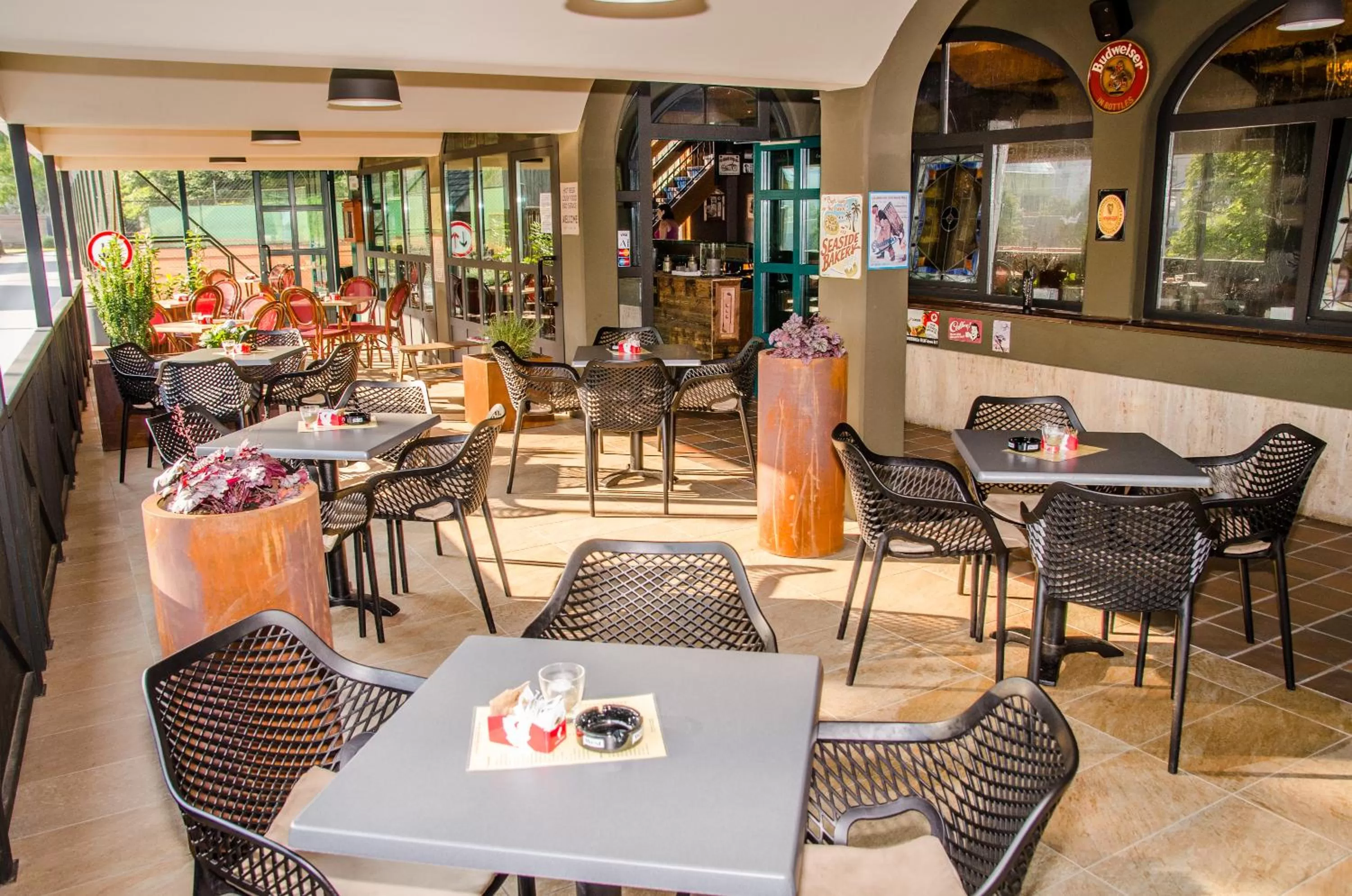 Garden in Penzion Park