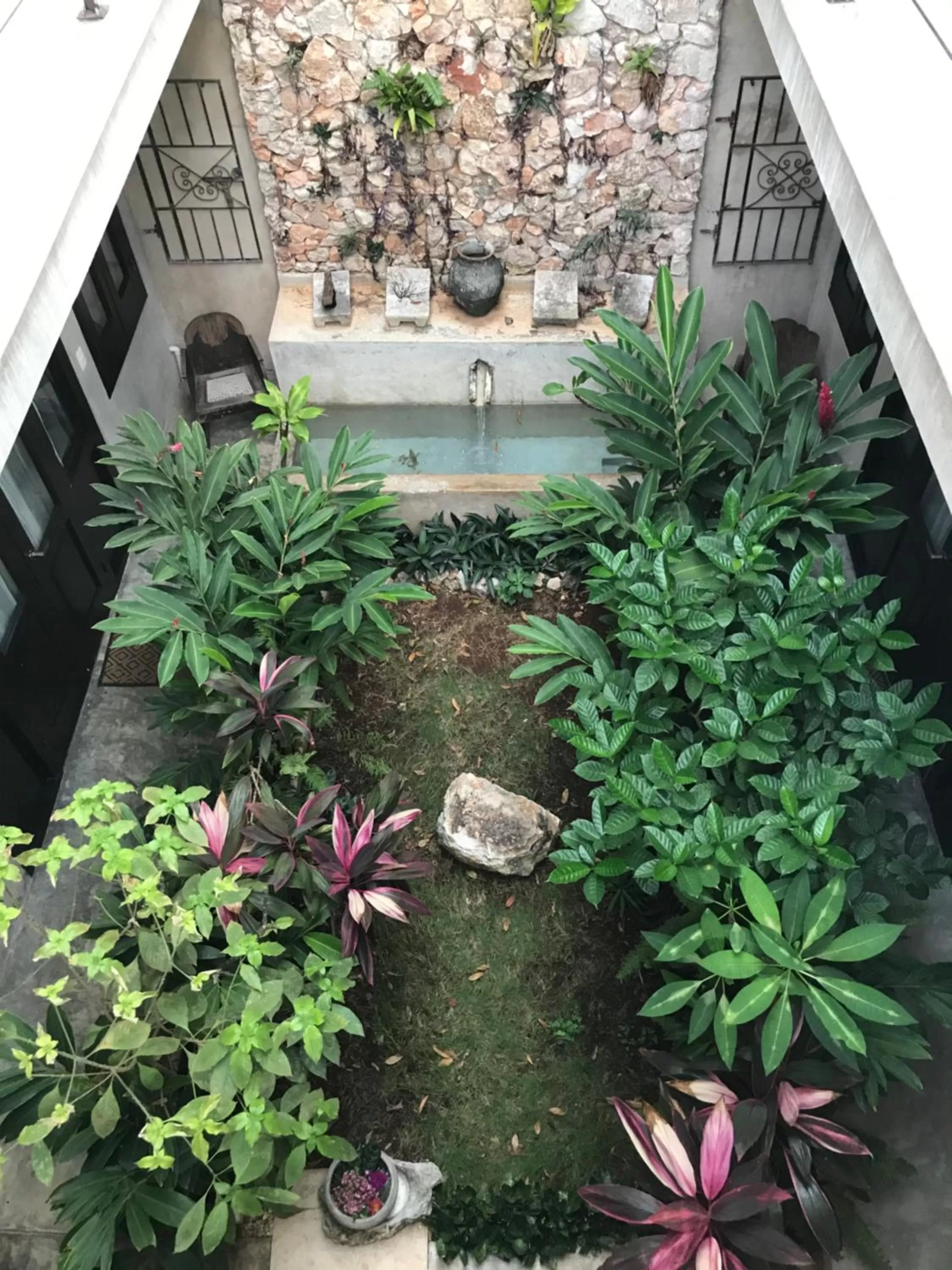 Garden in La Flor Casa Boutique