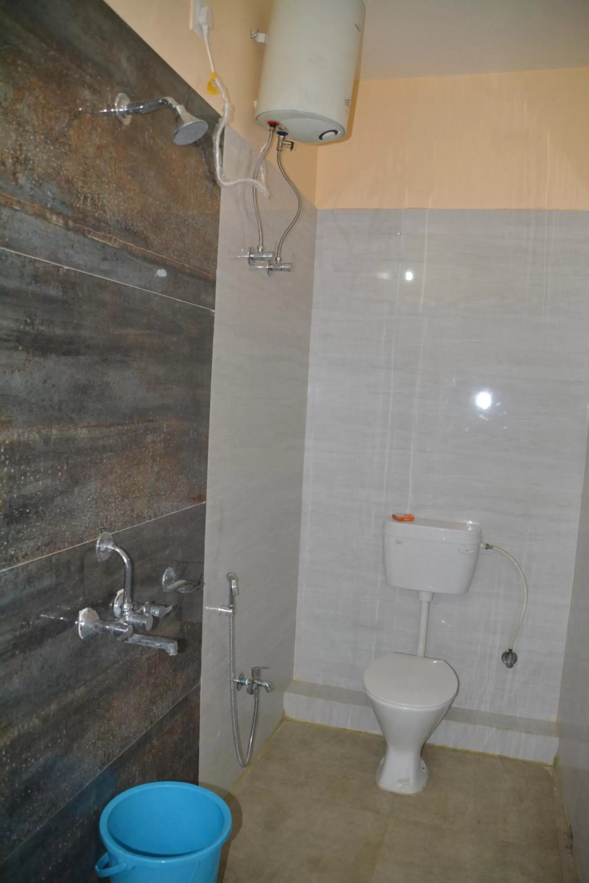 Toilet in HOTEL MANORAMA PALACE