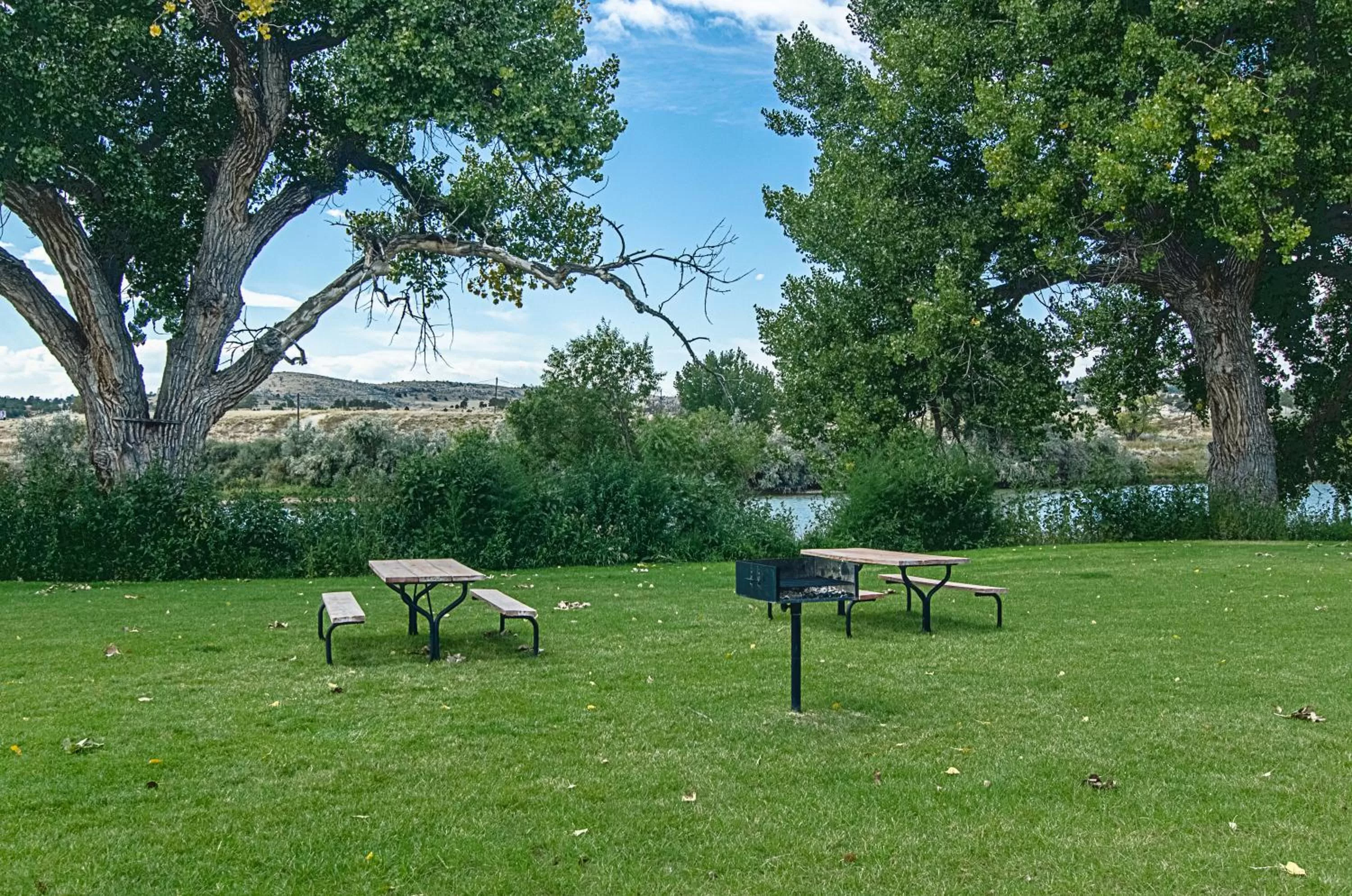 BBQ facilities in Cobblestone Inn & Suites - Guernsey