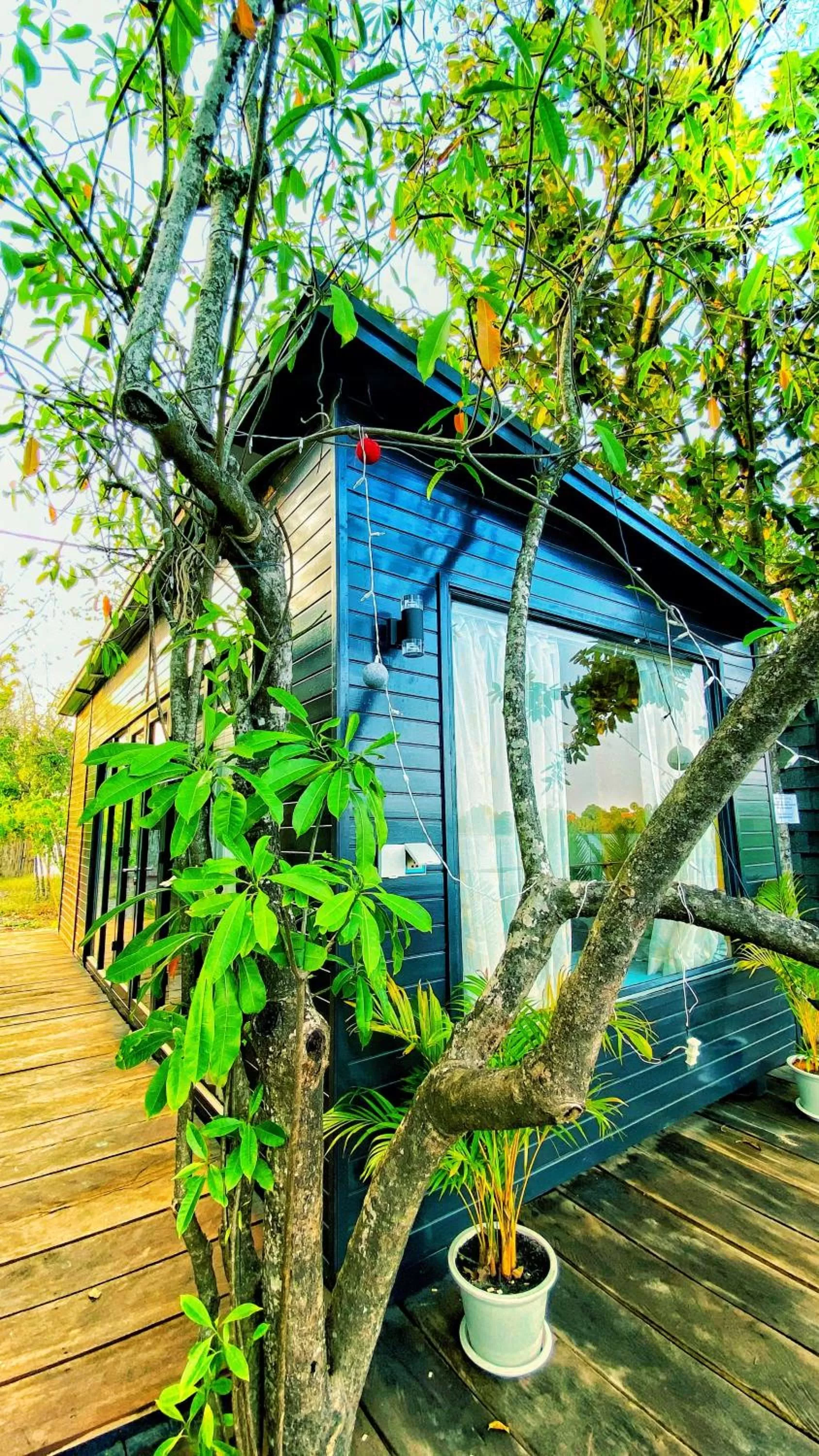 Property Building in Kampot Riverfront Boutique