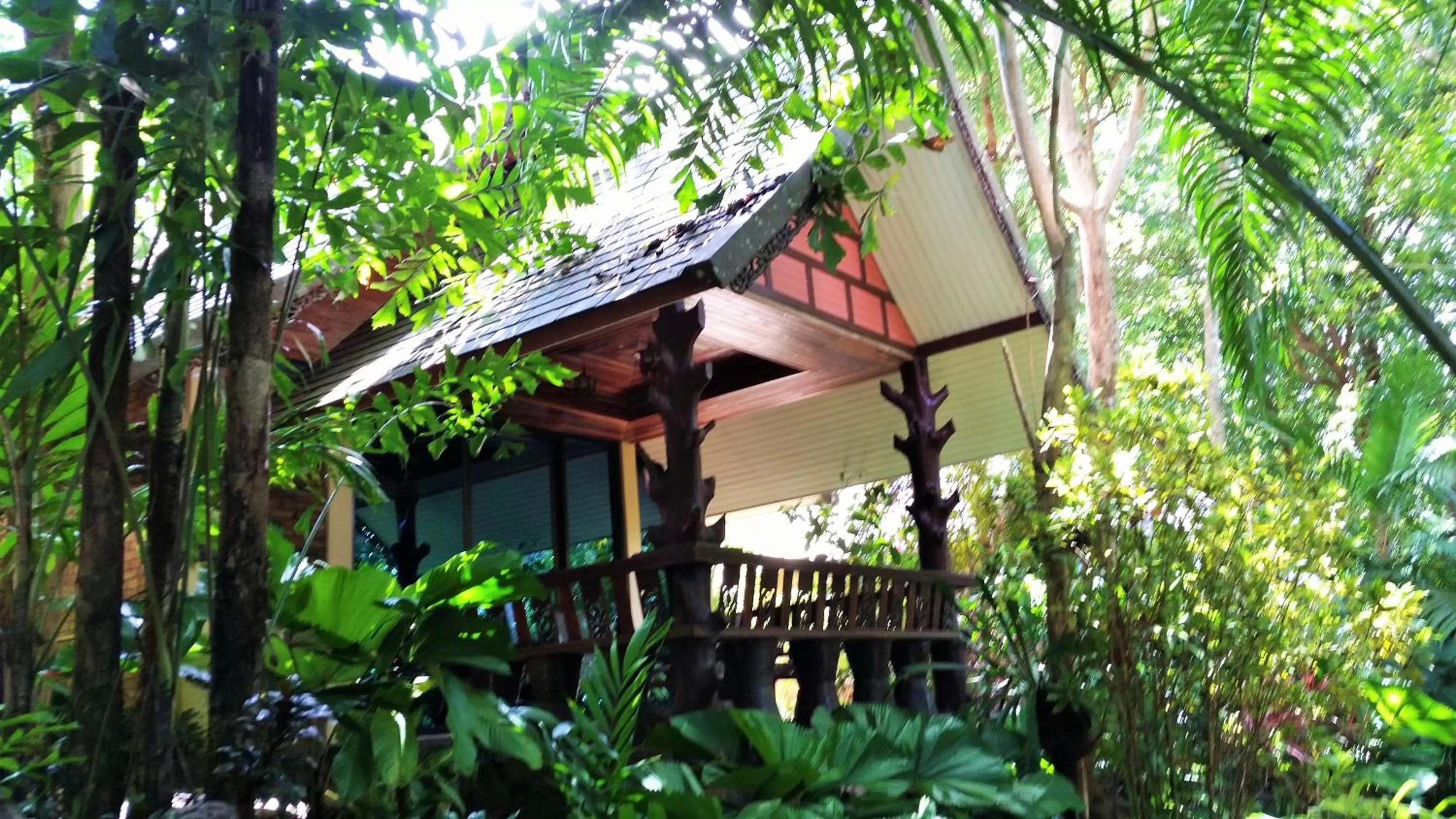 Day in Khao Sok Las Orquideas Resort