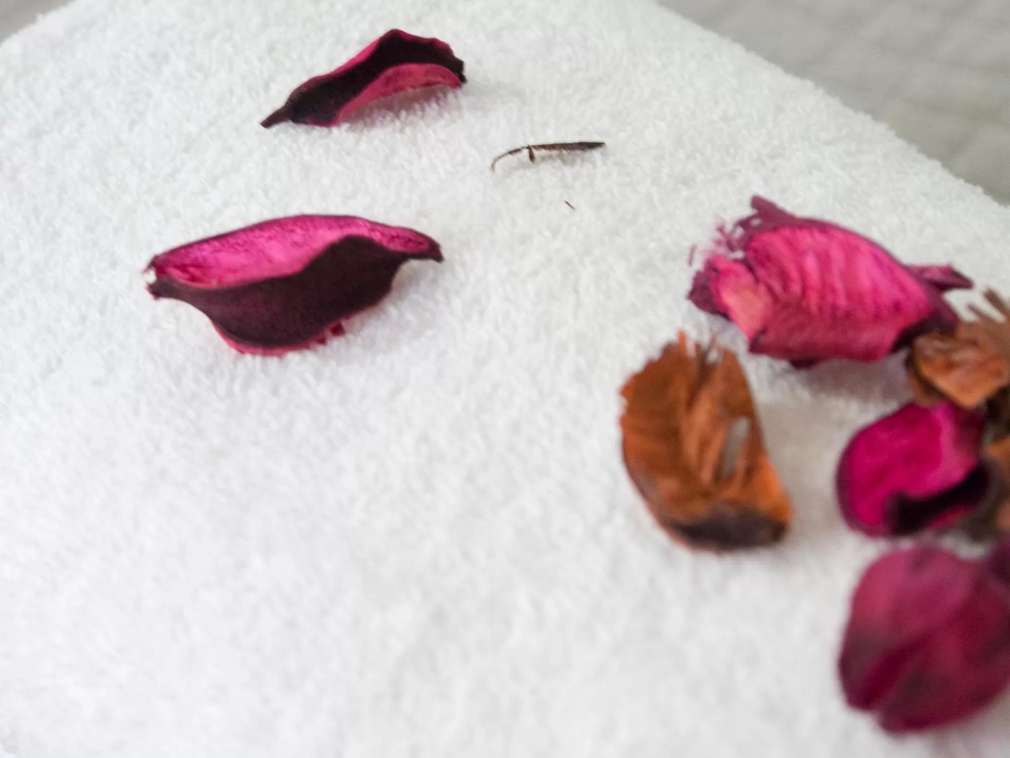 Decorative detail in Hotel Kroma