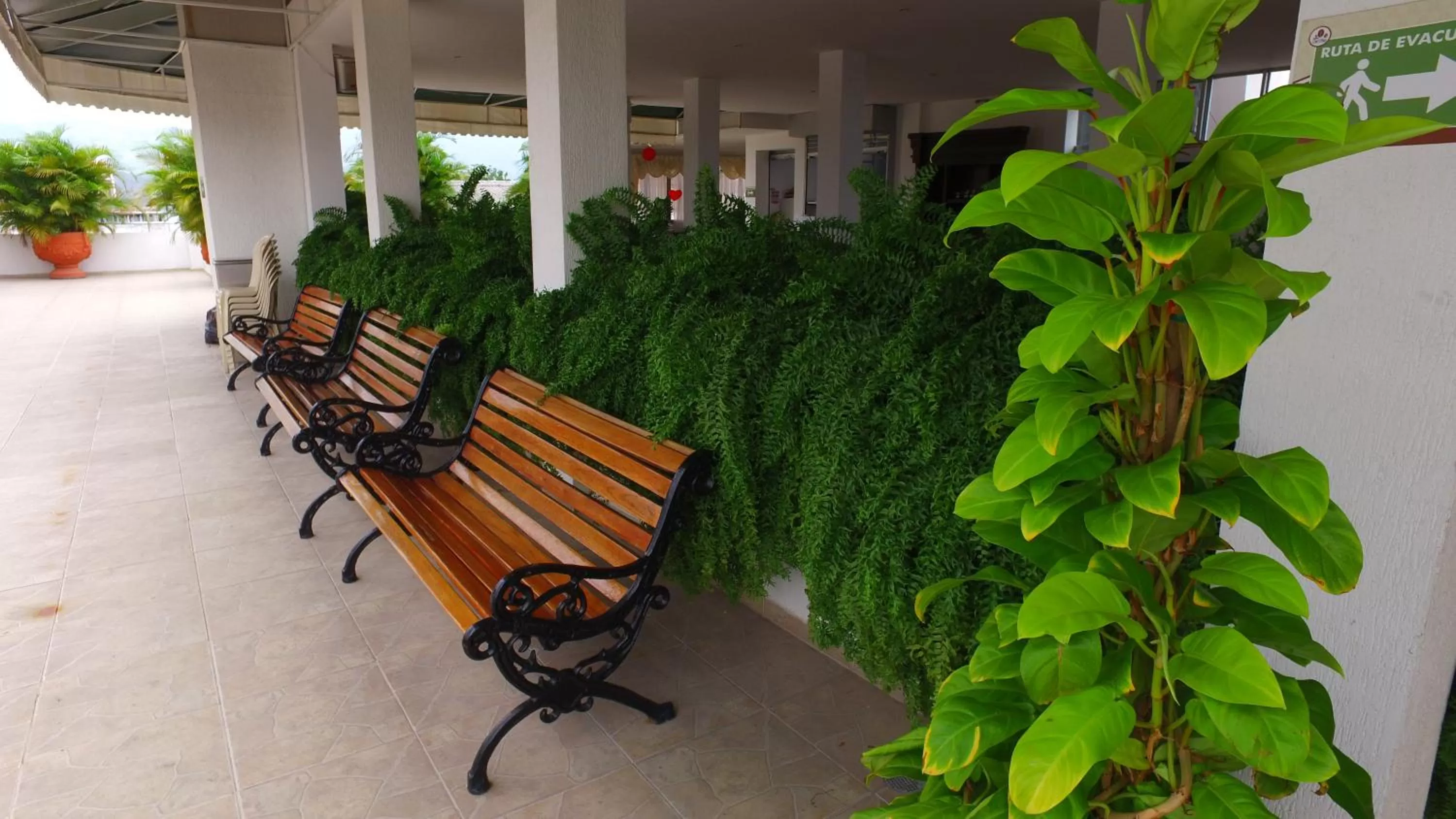 Area and facilities in Hotel Cafe Plaza