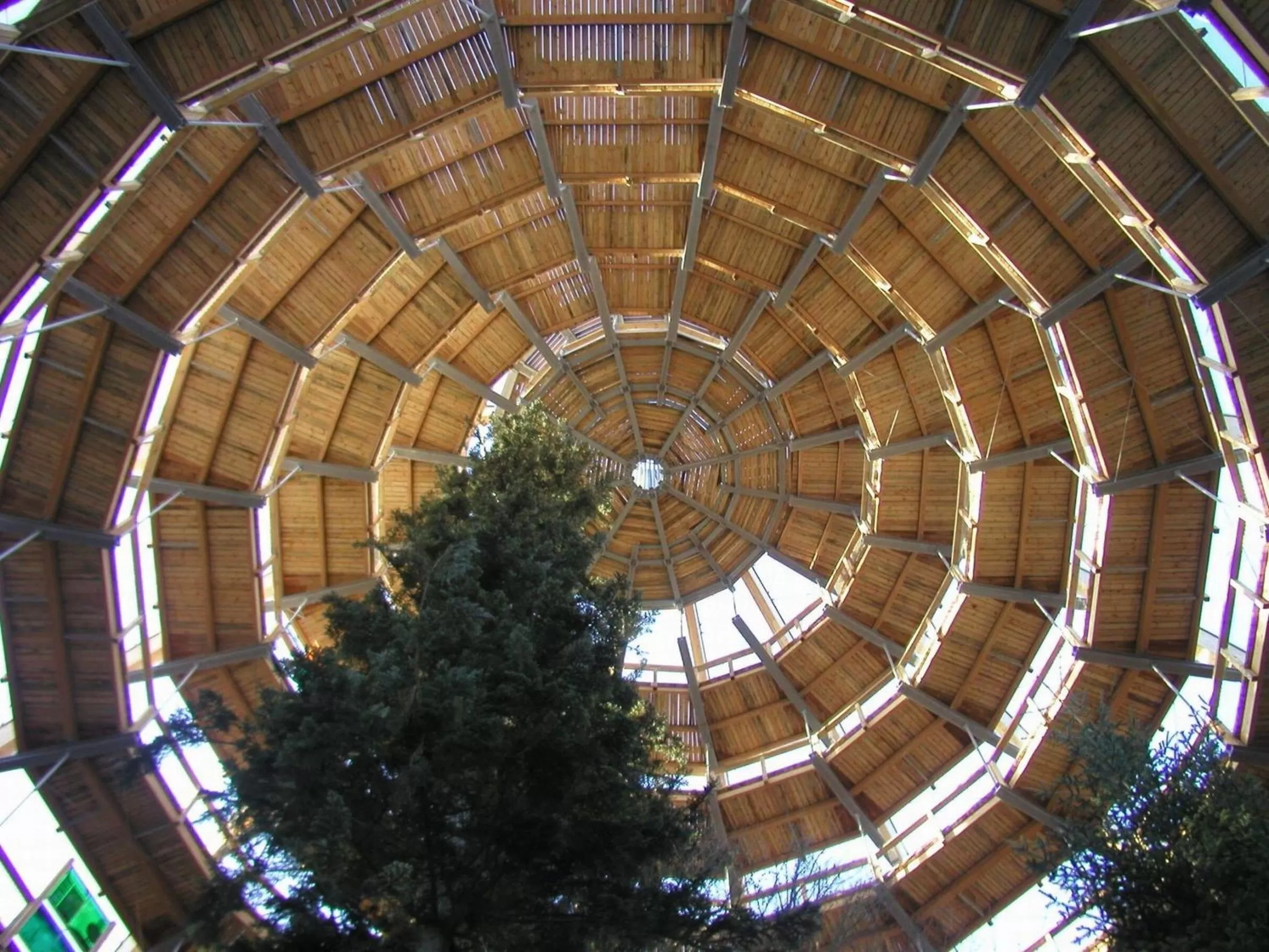 Area and facilities in Vitalesca