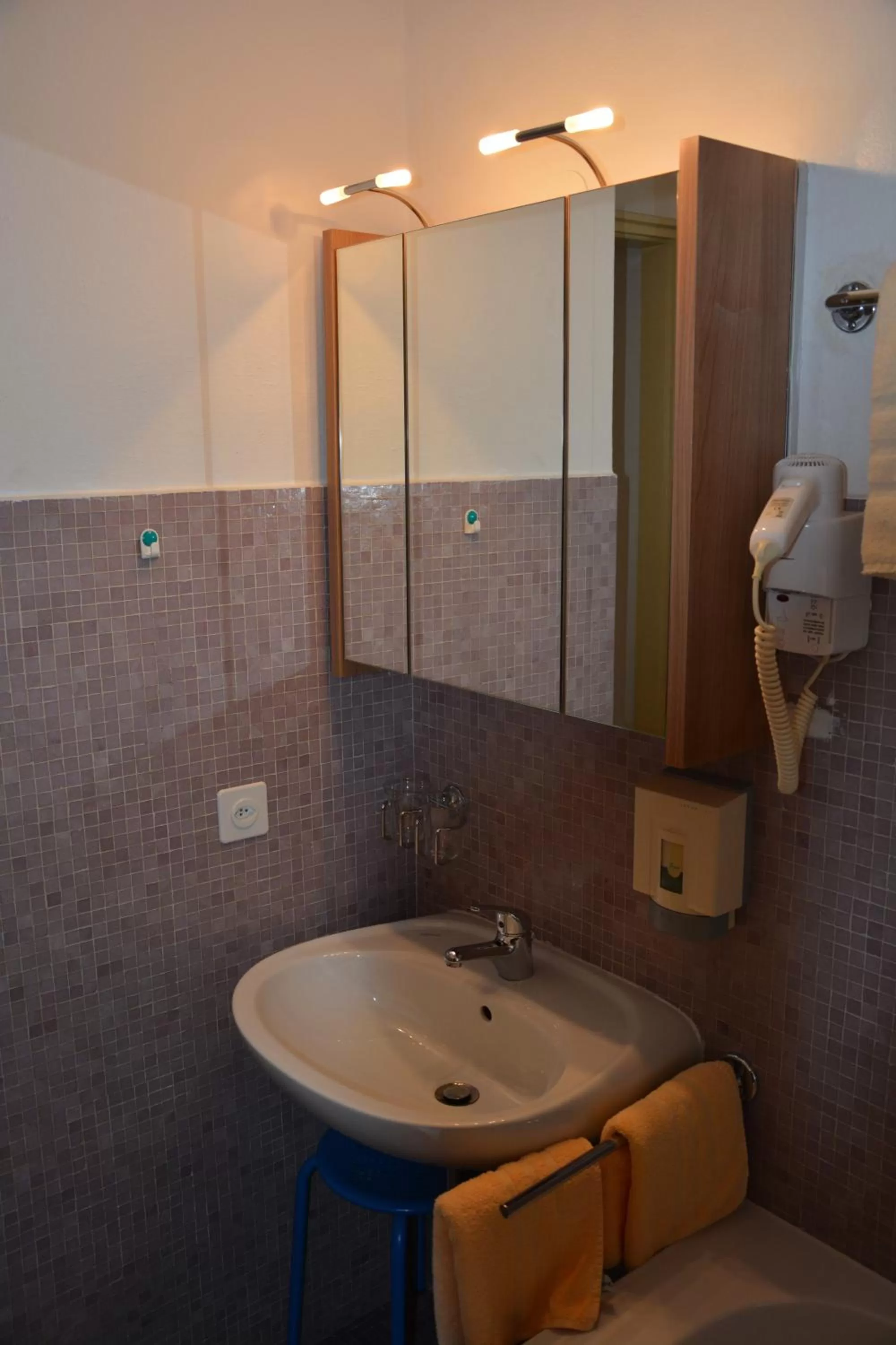 Bathroom in Hotel Dischma - FREE BUS AND TRAIN TICKET