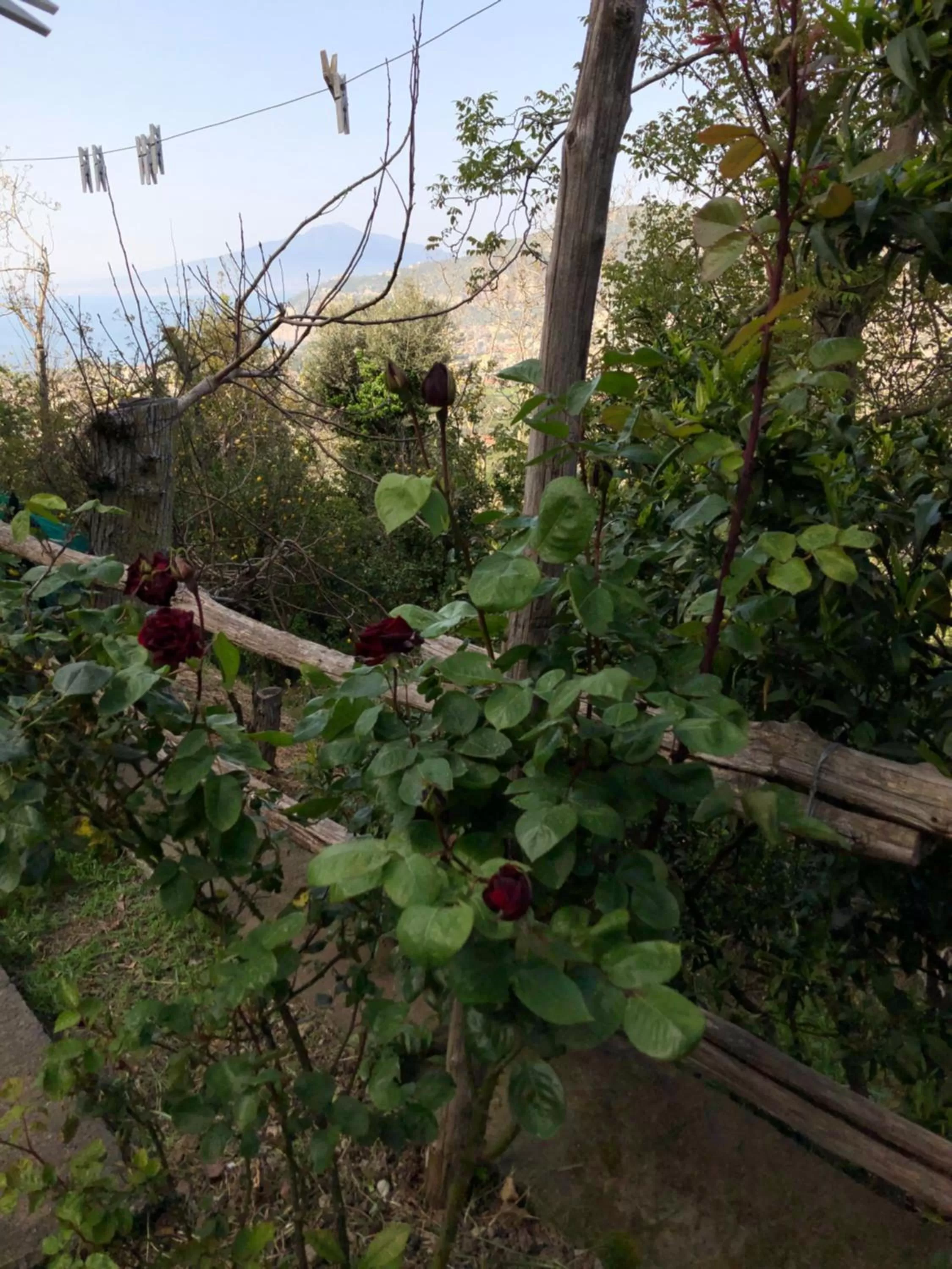 B&b L' Arancio in fiore