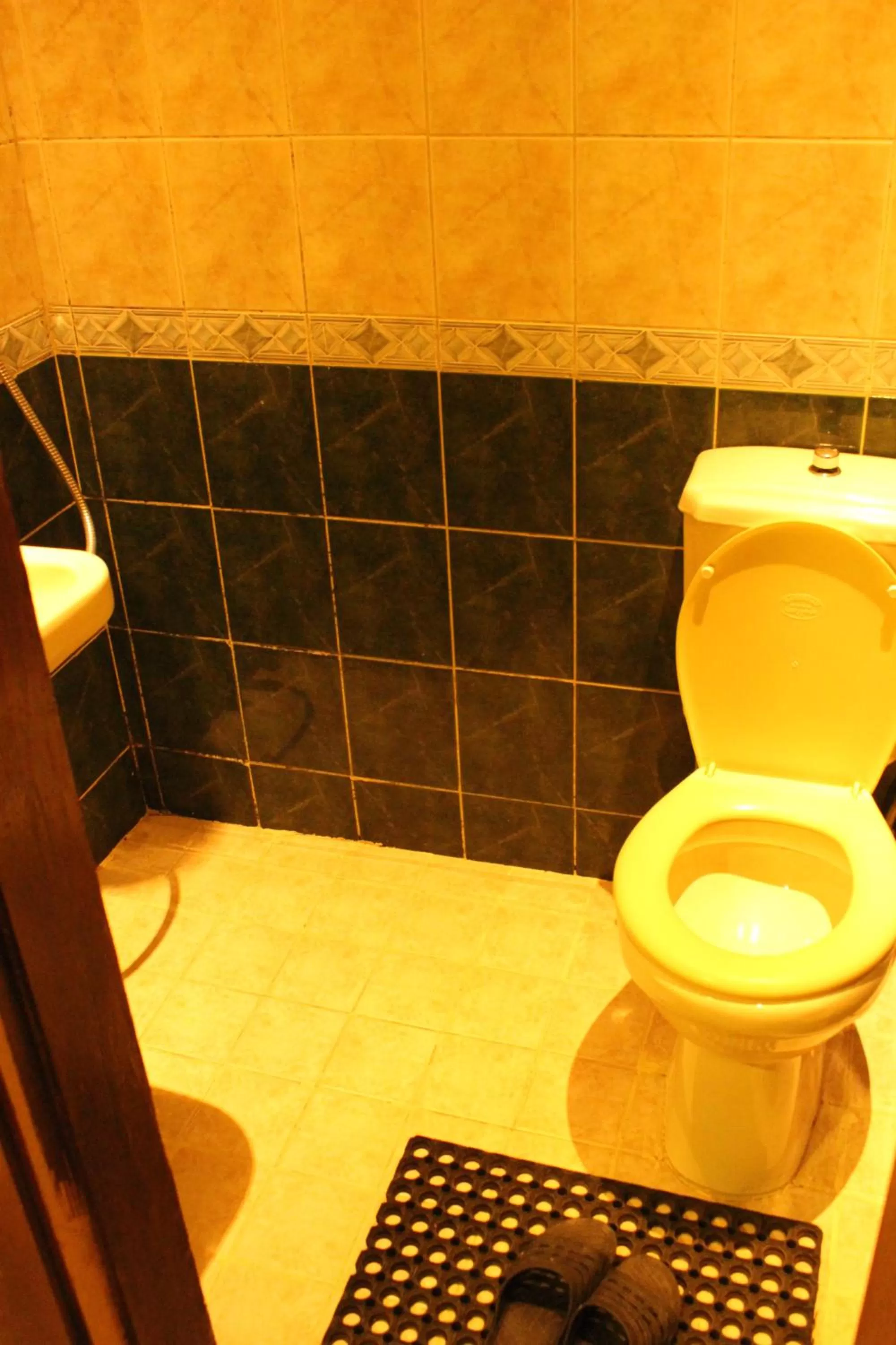 Toilet in Arab Tower Hotel