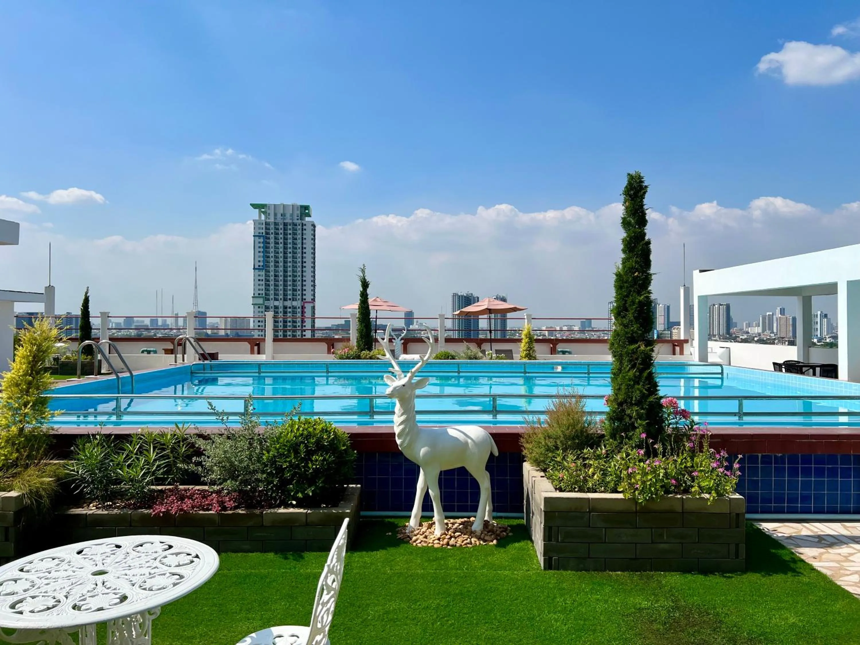 Swimming pool in Elizabeth Hotel