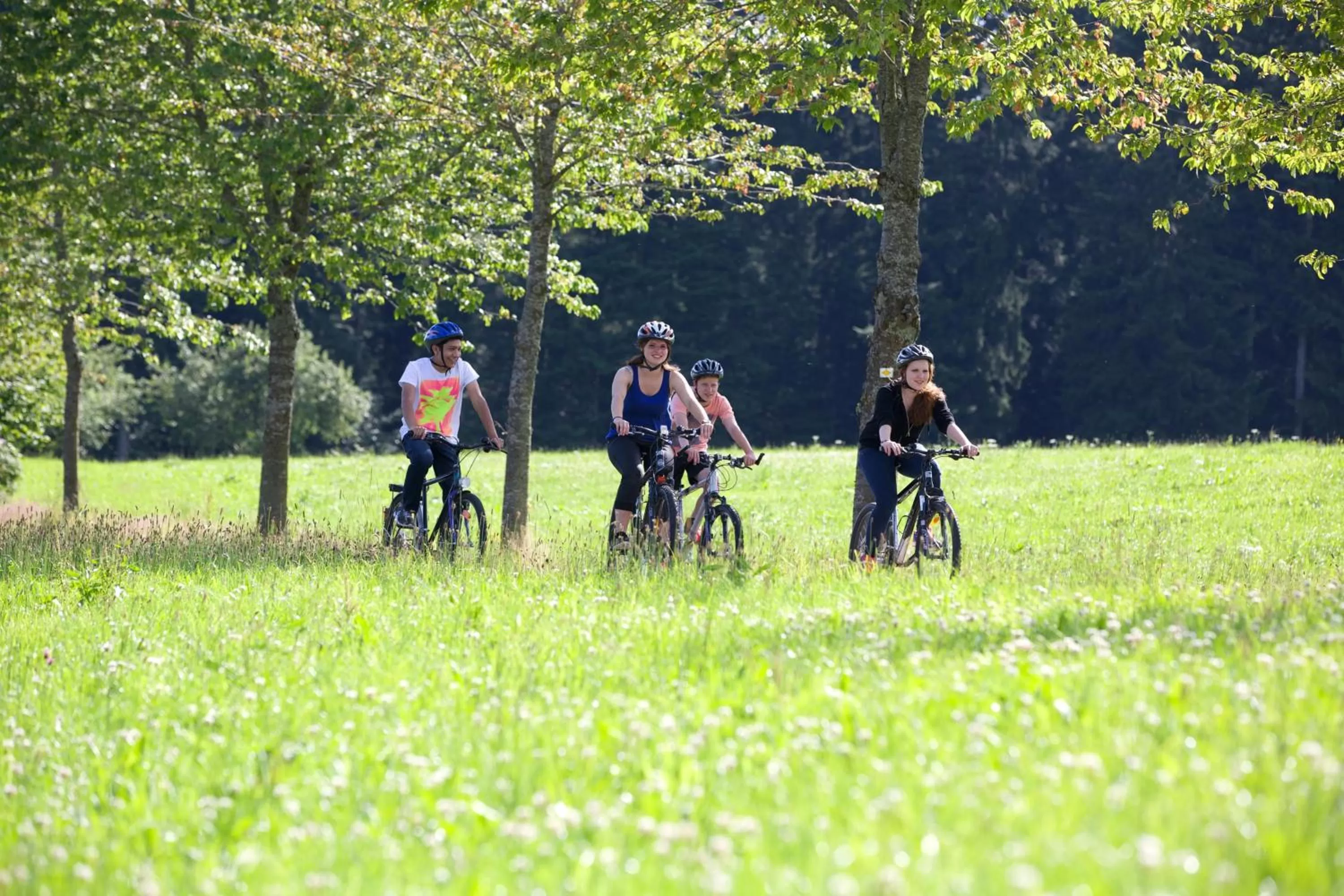 Cycling in Landgasthof Hotel Hirsch