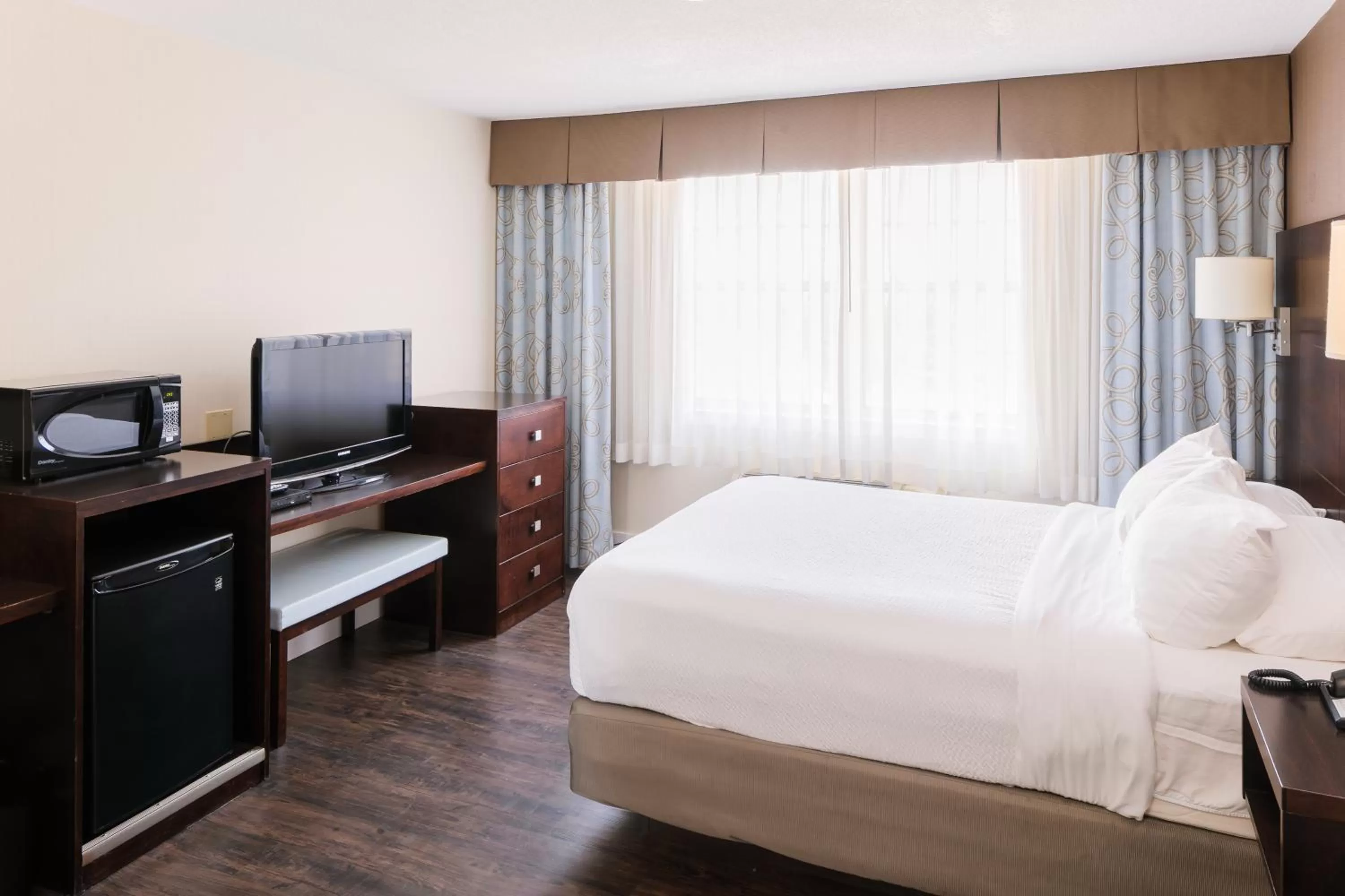 One-Bedroom Suite in Rodd Royalty