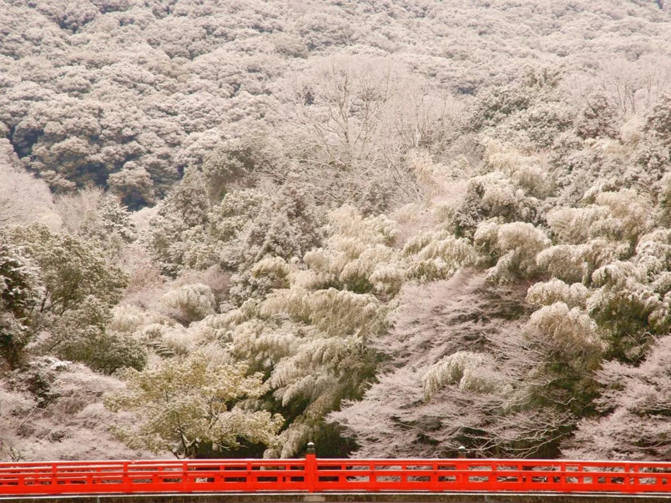Off site in Hanayashiki Ukifune-en