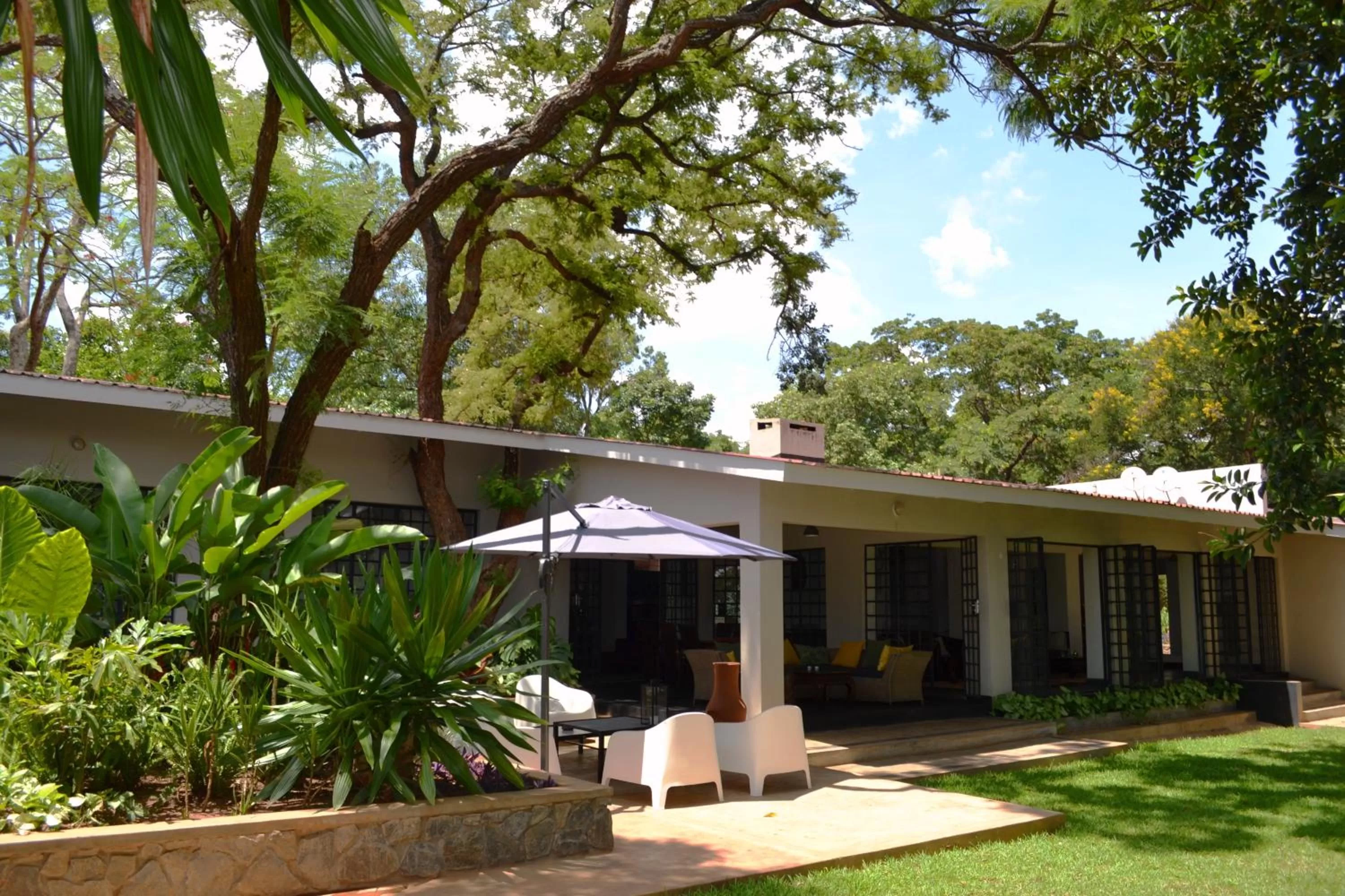 Garden in Mitengo House