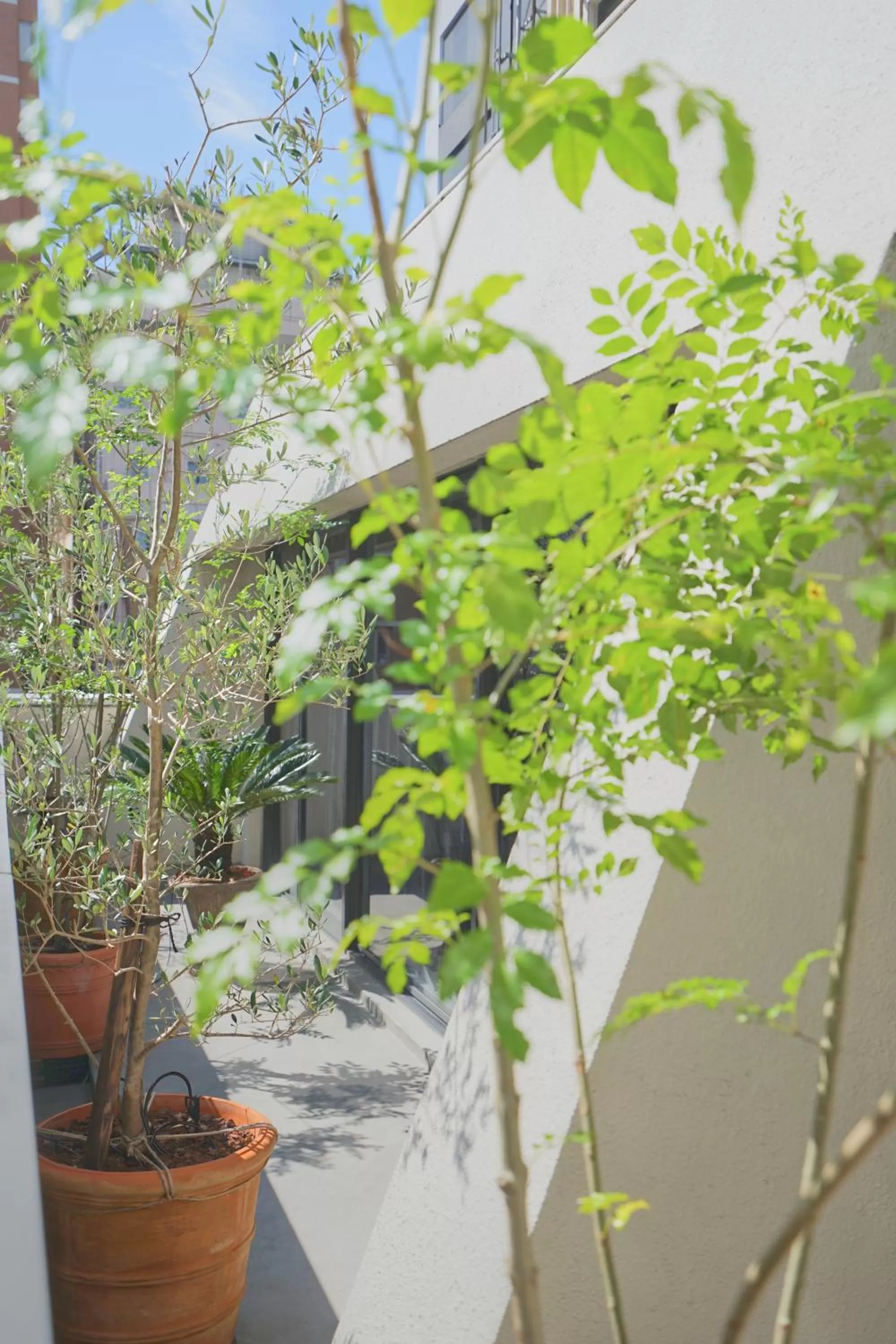 Property building in Feel Osaka Yu