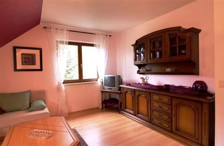 Standard Apartment in Gasthaus Zur Linde Ferienwohnungen