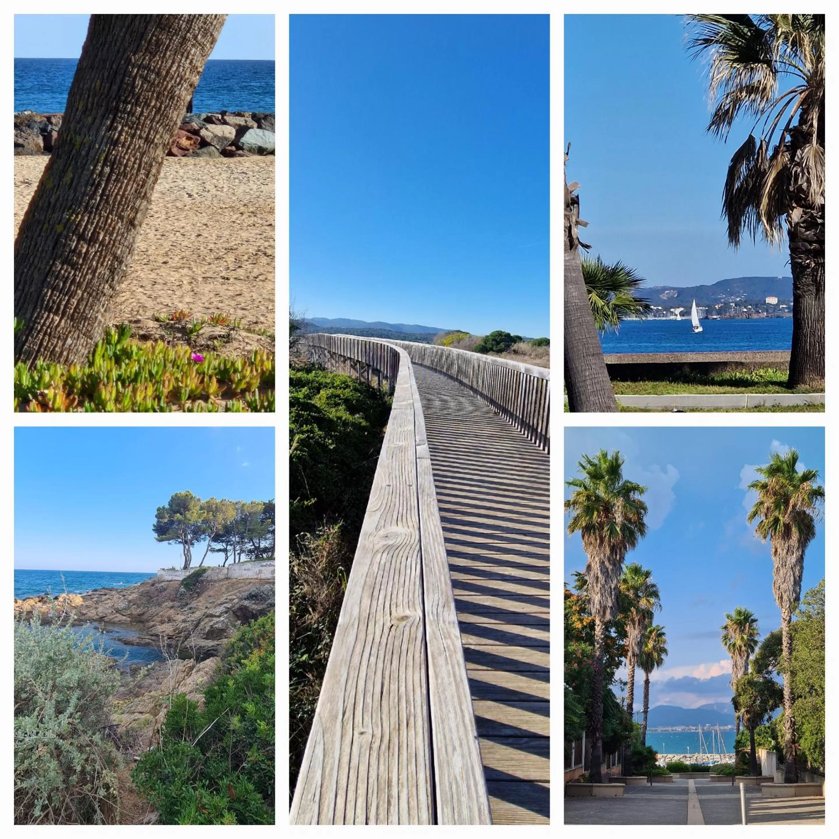 Text overlay in Le Cosy