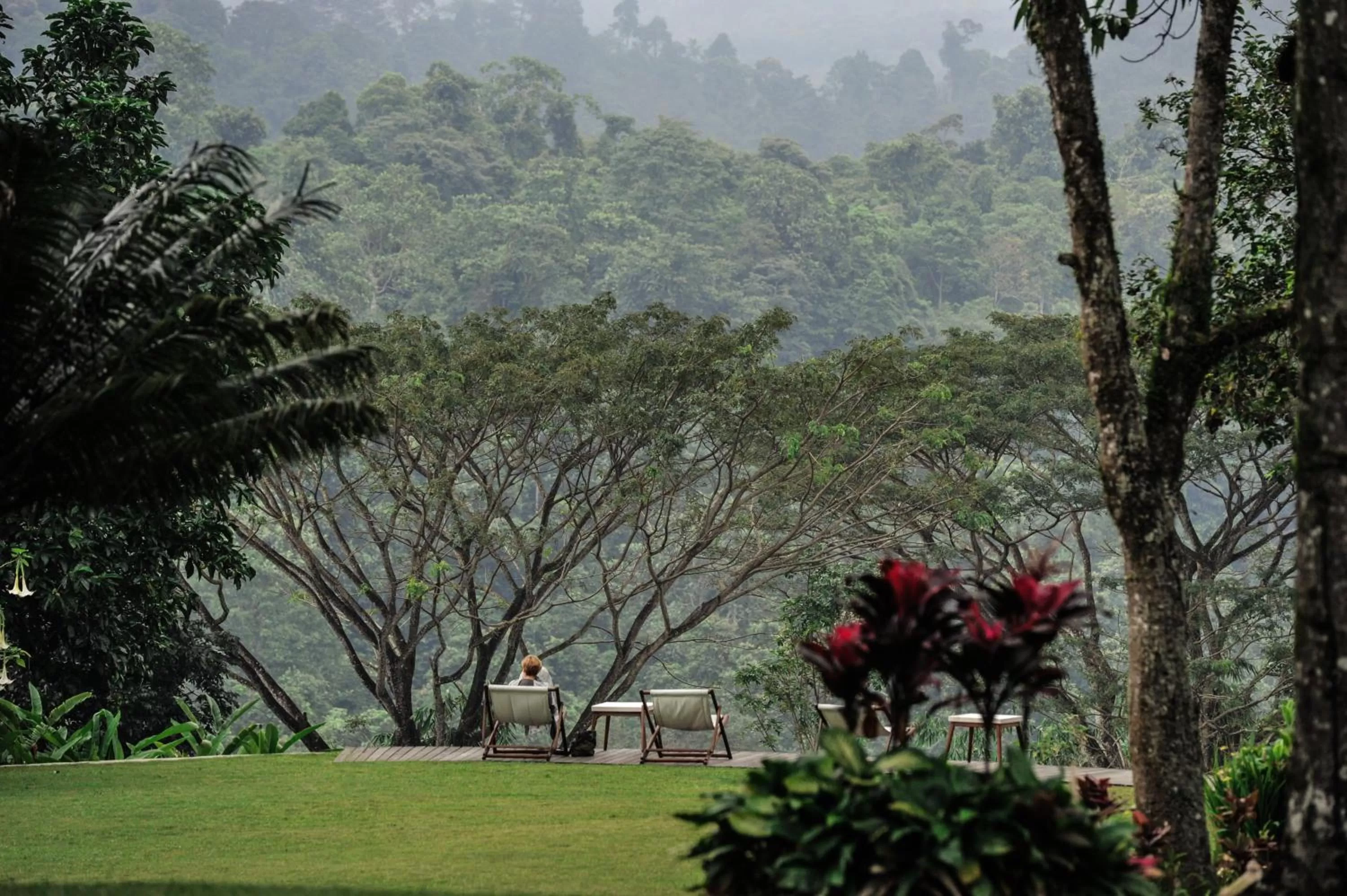 Garden in Ijen Resort and Villas - The Hidden Paradise