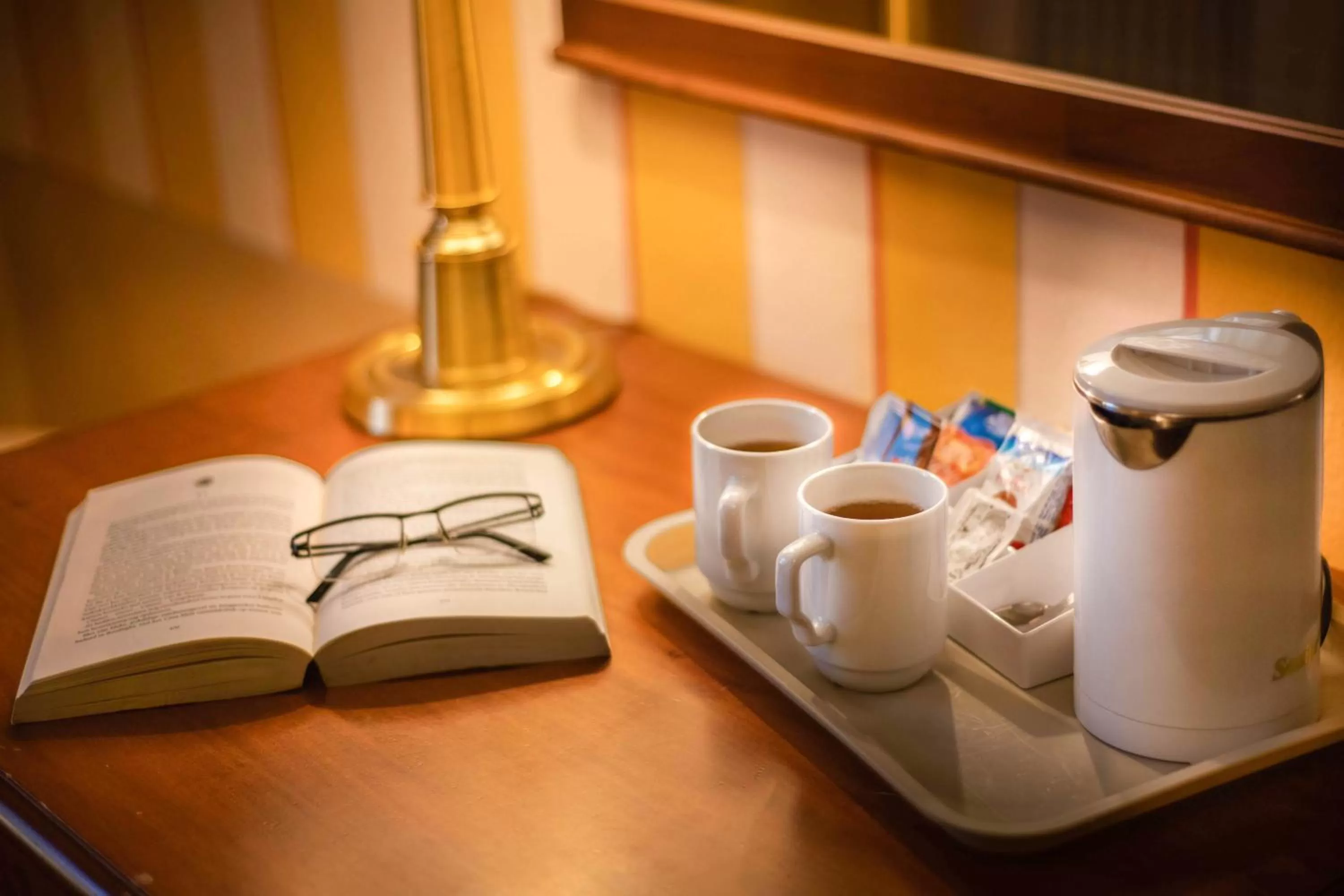 Library in Park Hotel Regina - with air-condition and outdoor heated pool