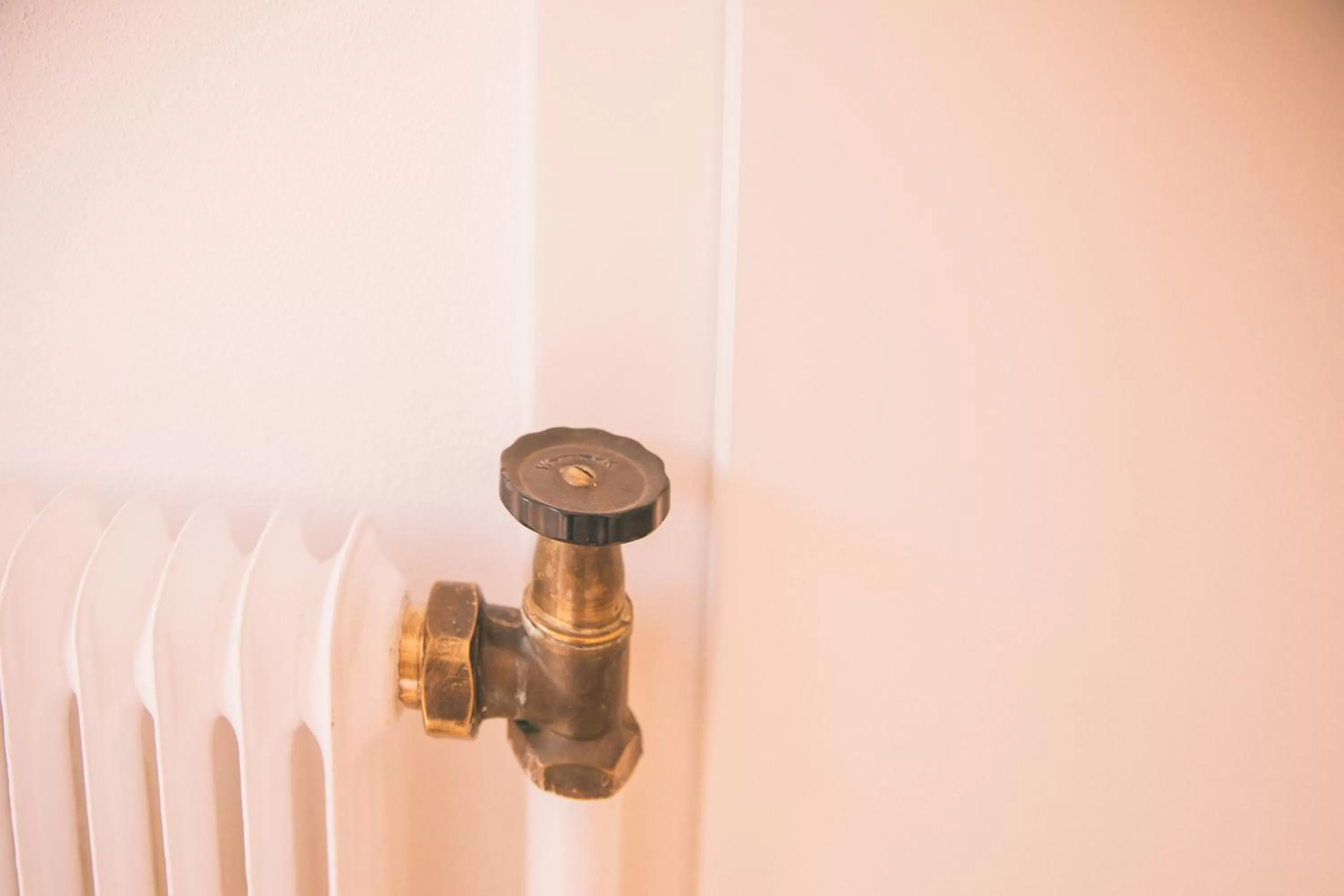 Decorative detail in Nefer, Haus