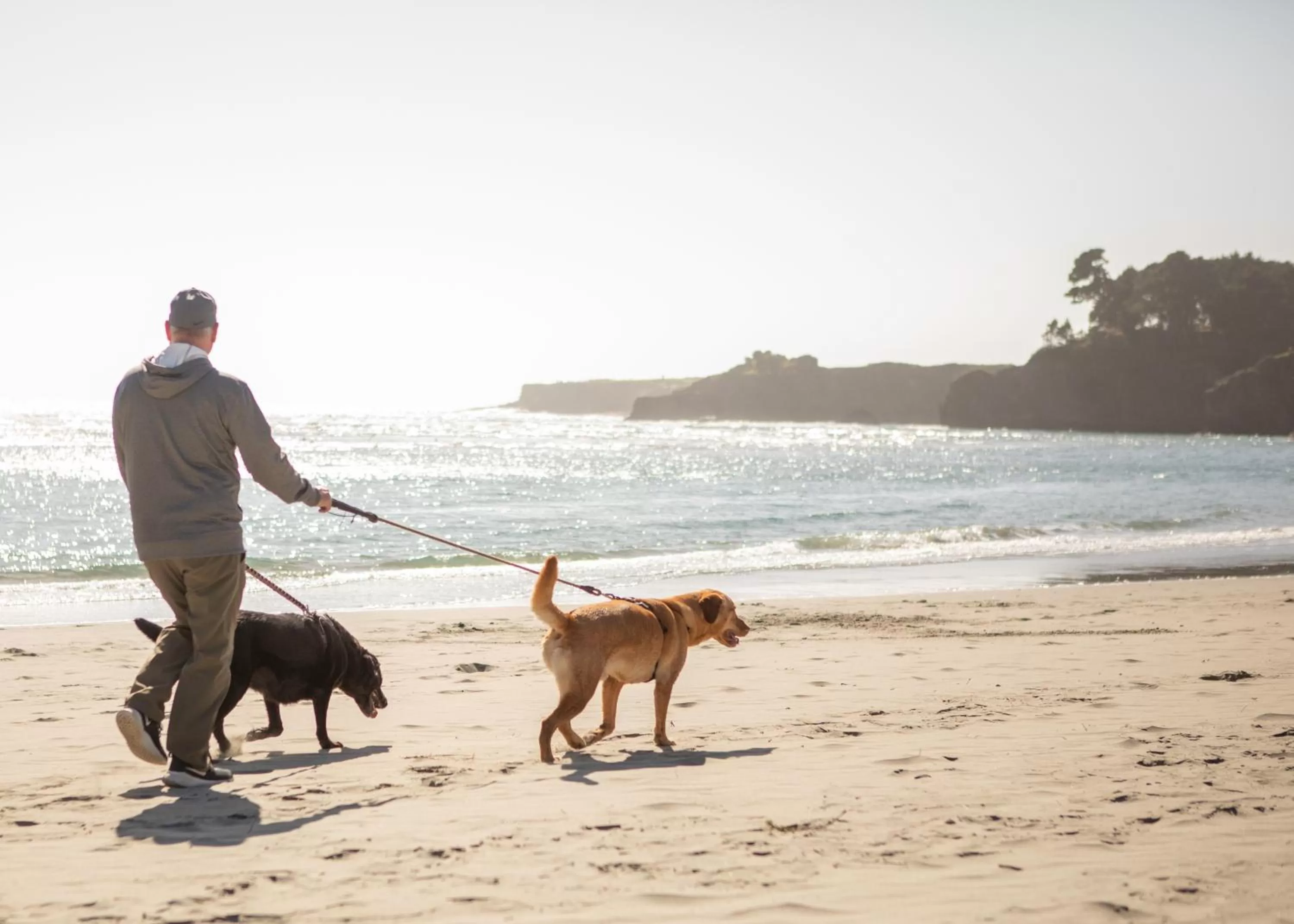 Pets in Inn at Schoolhouse Creek