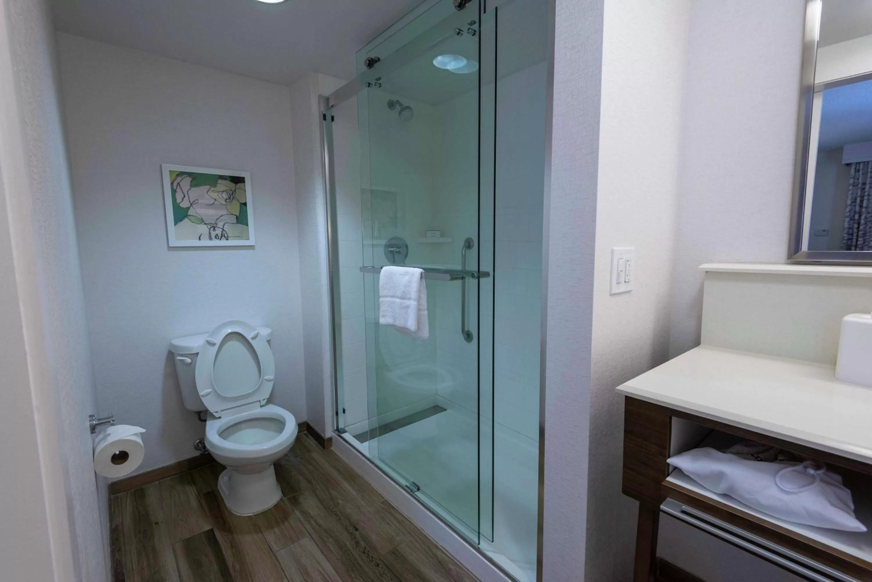 Bathroom in Hampton Inn Boca Raton