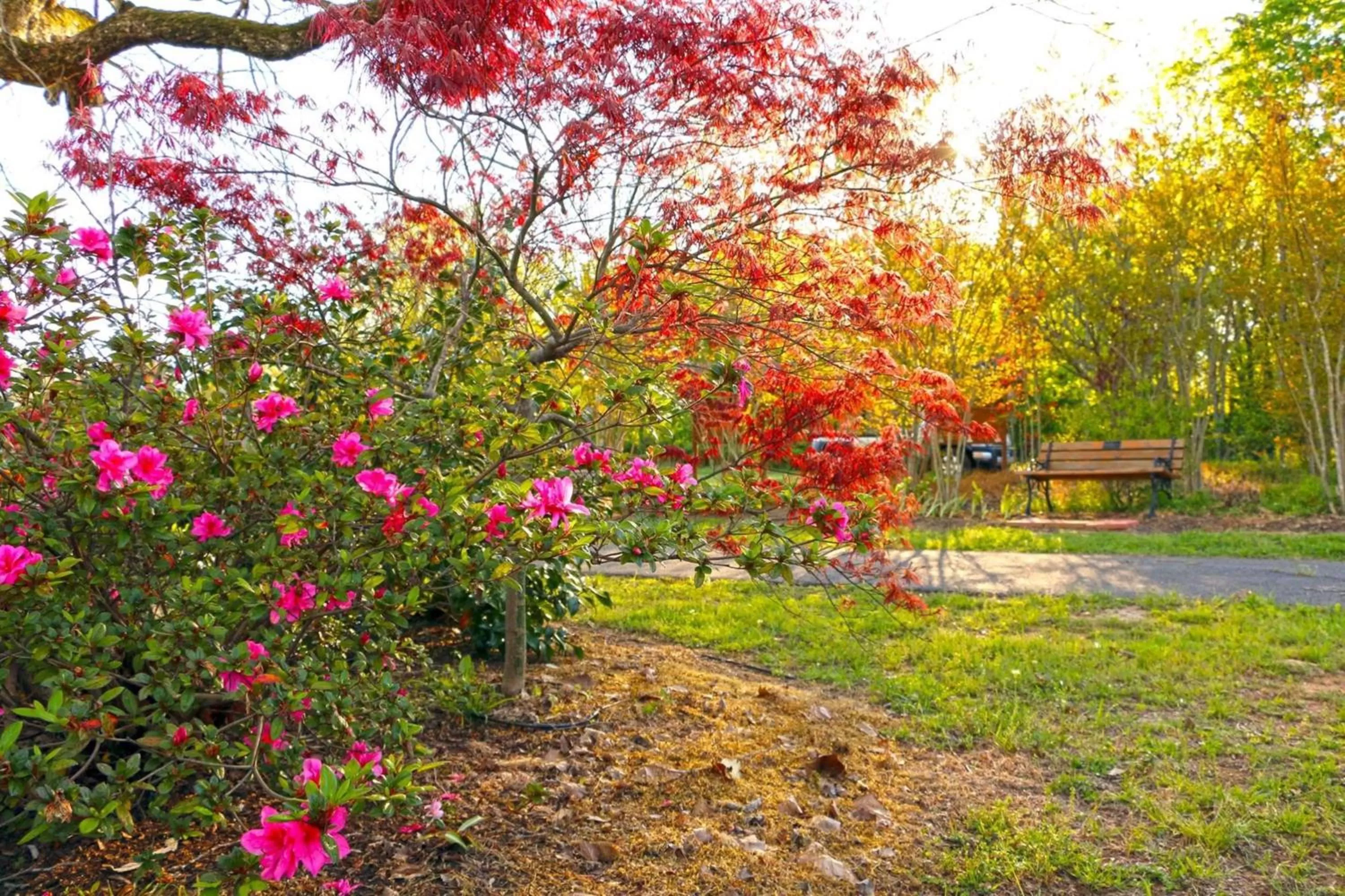 Area and facilities in Holiday Inn Express Hotel & Suites Nacogdoches by IHG