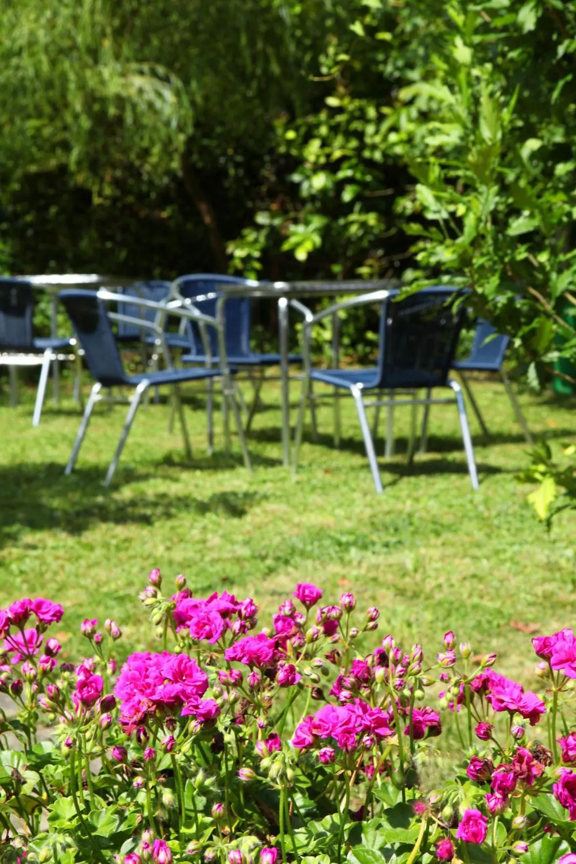 Garden in Hotel Metrokua