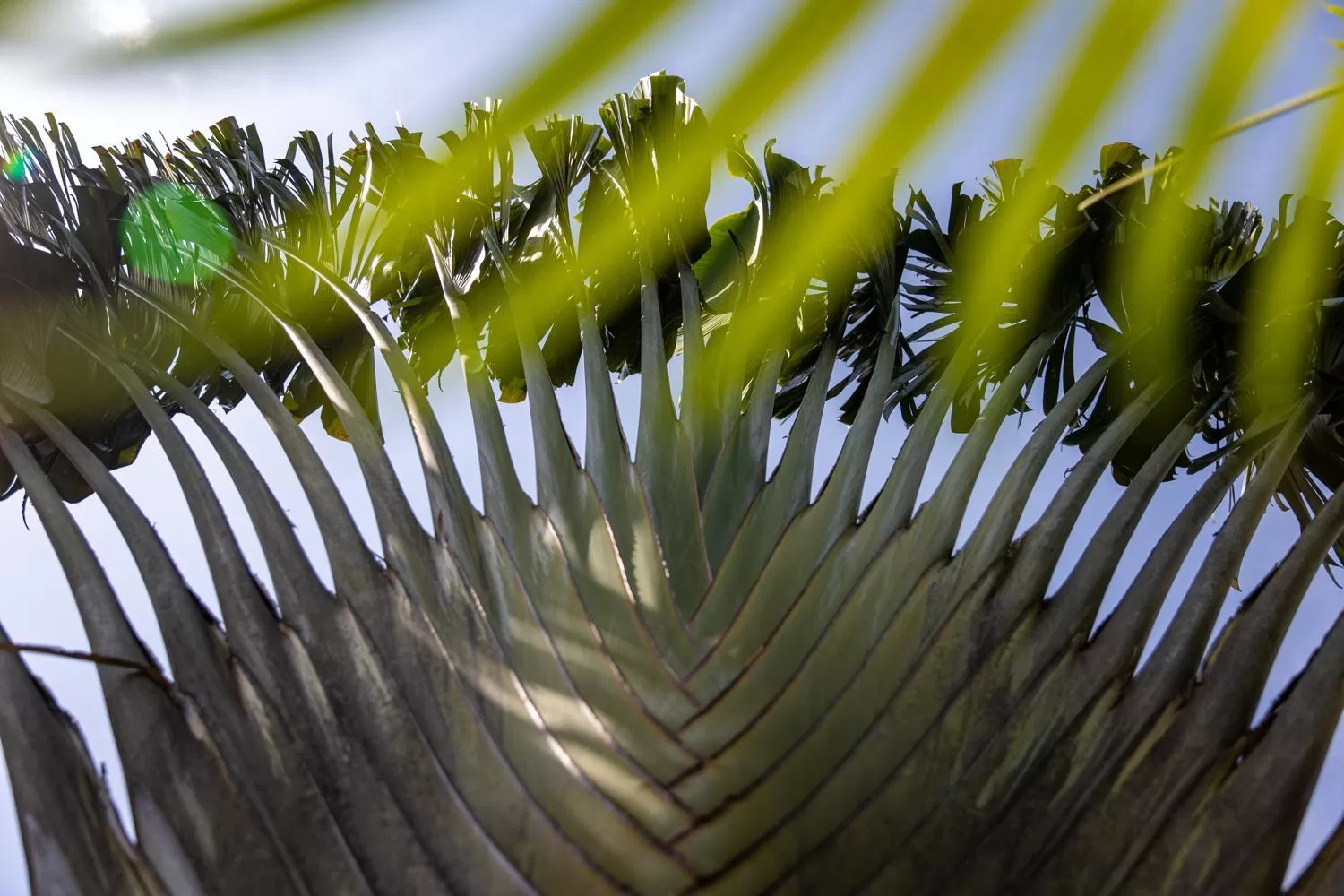 Natural landscape in Kampot Cabana