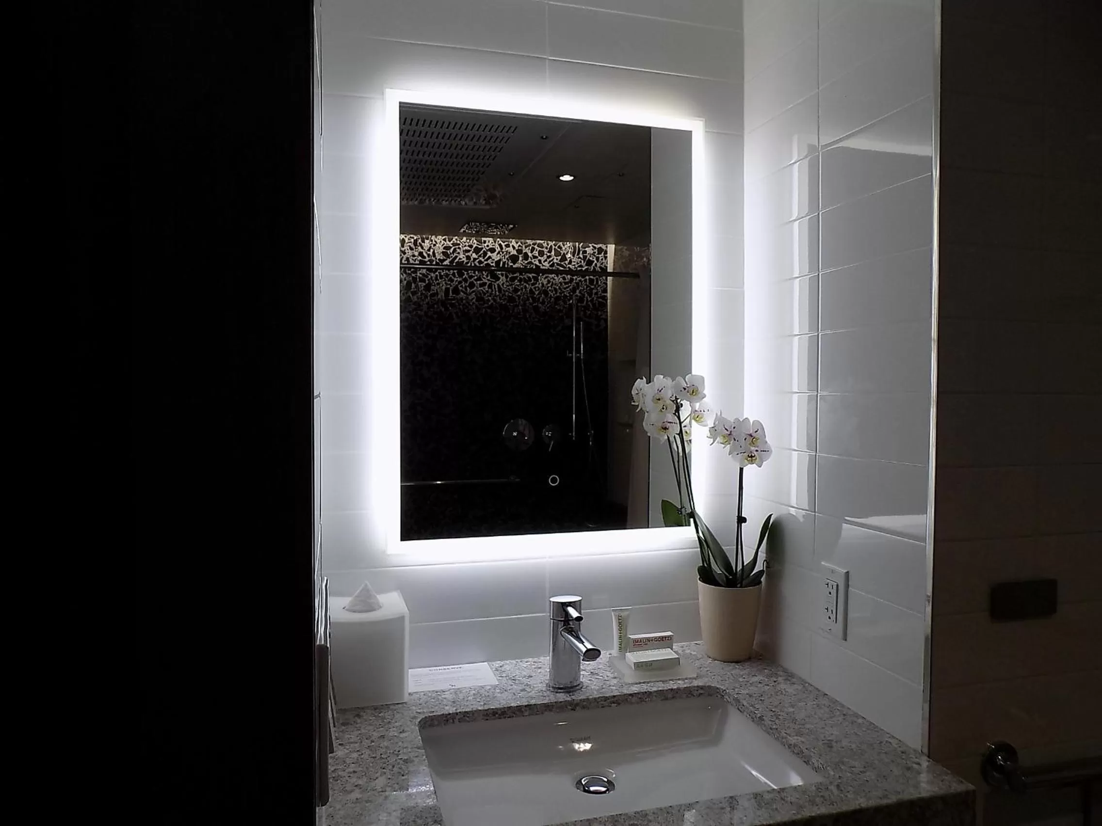 Bathroom in Carnegie Hotel