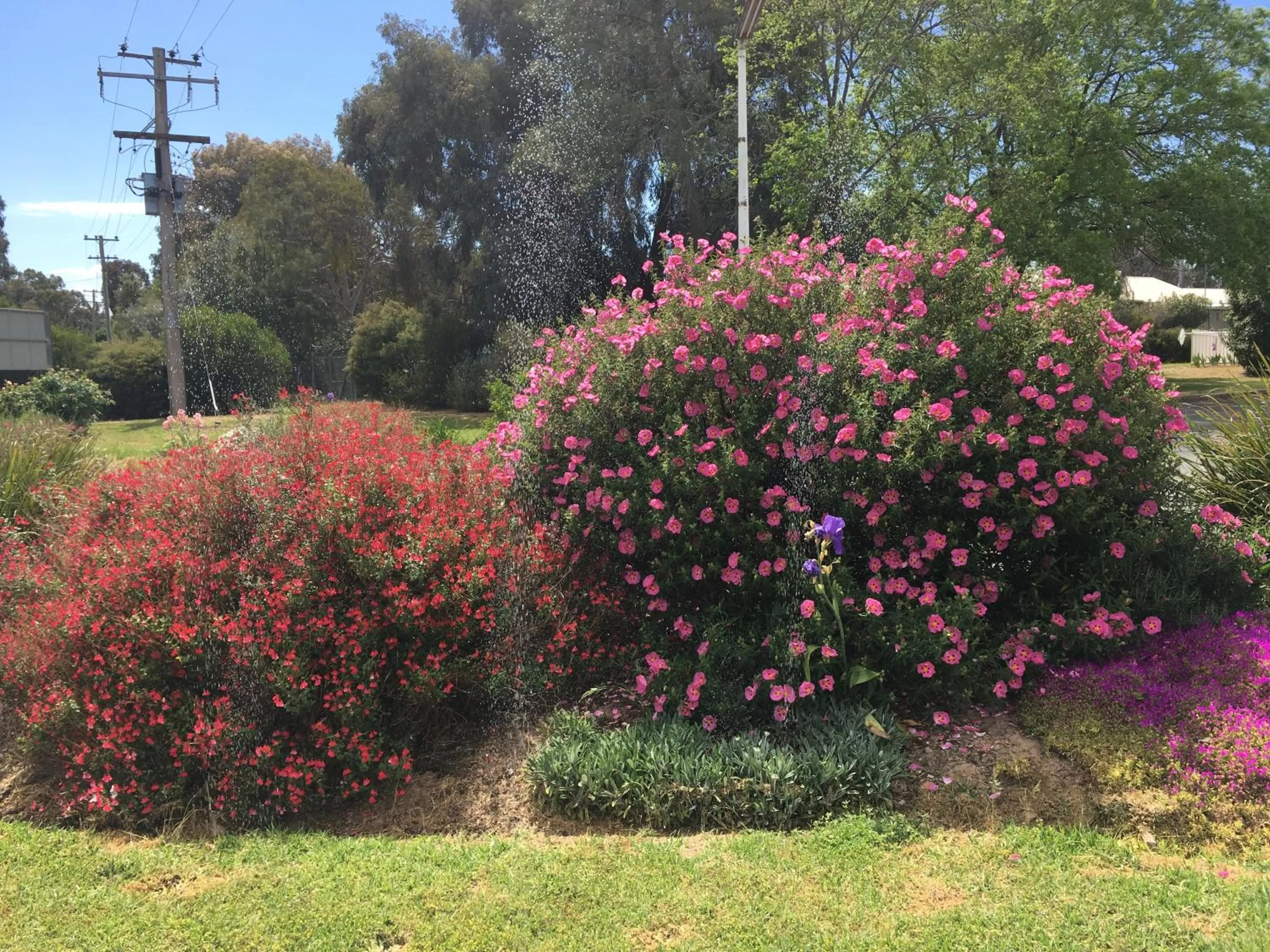 Byer Fountain Motor Inn