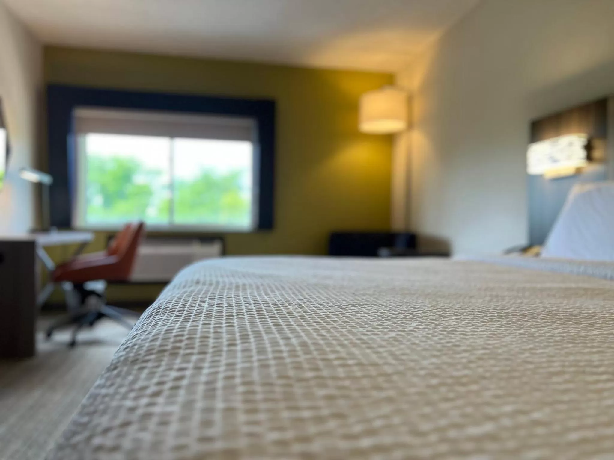 Photo of the whole room, Bed in Holiday Inn Express Stony Brook-Long Island by IHG