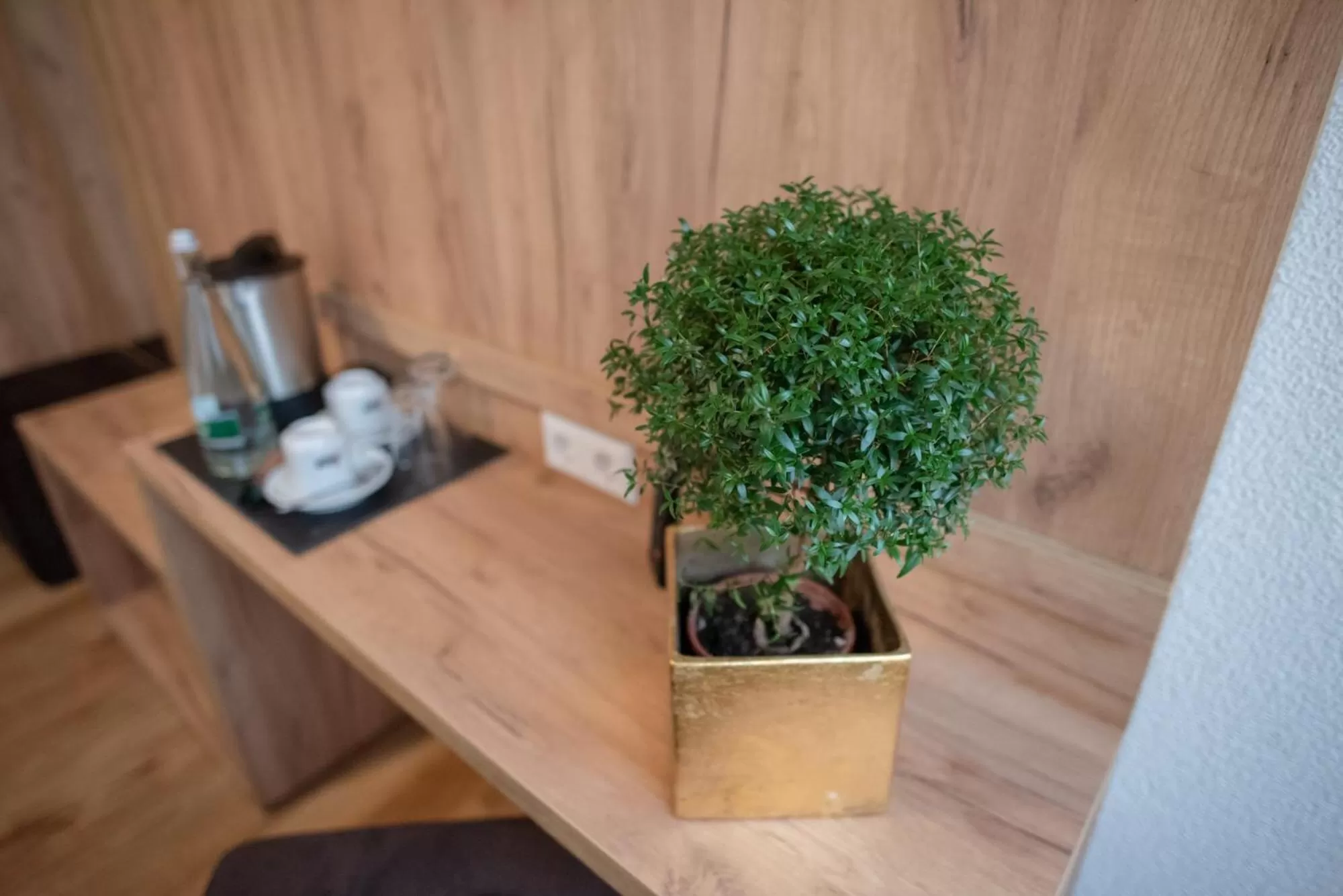 Decorative detail in Hotel Leo