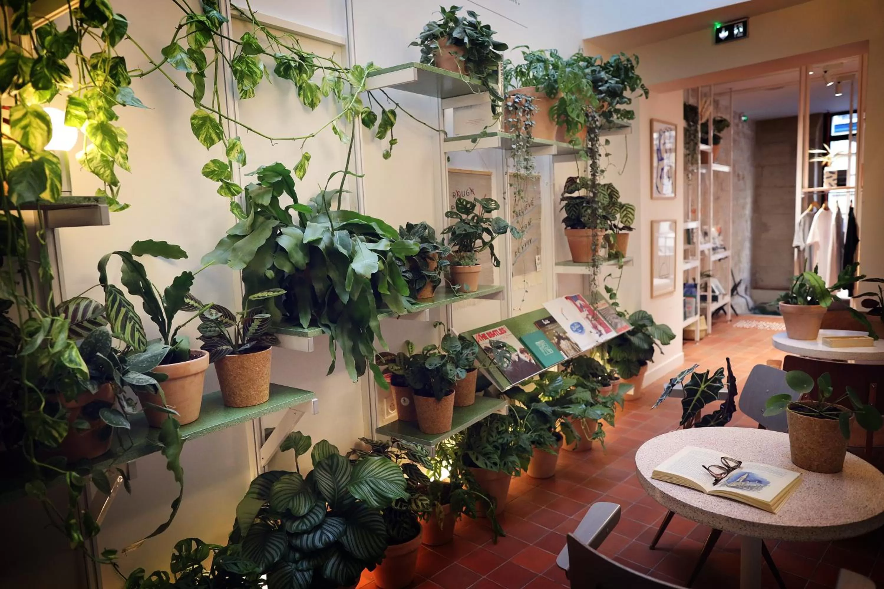 Patio in French Theory