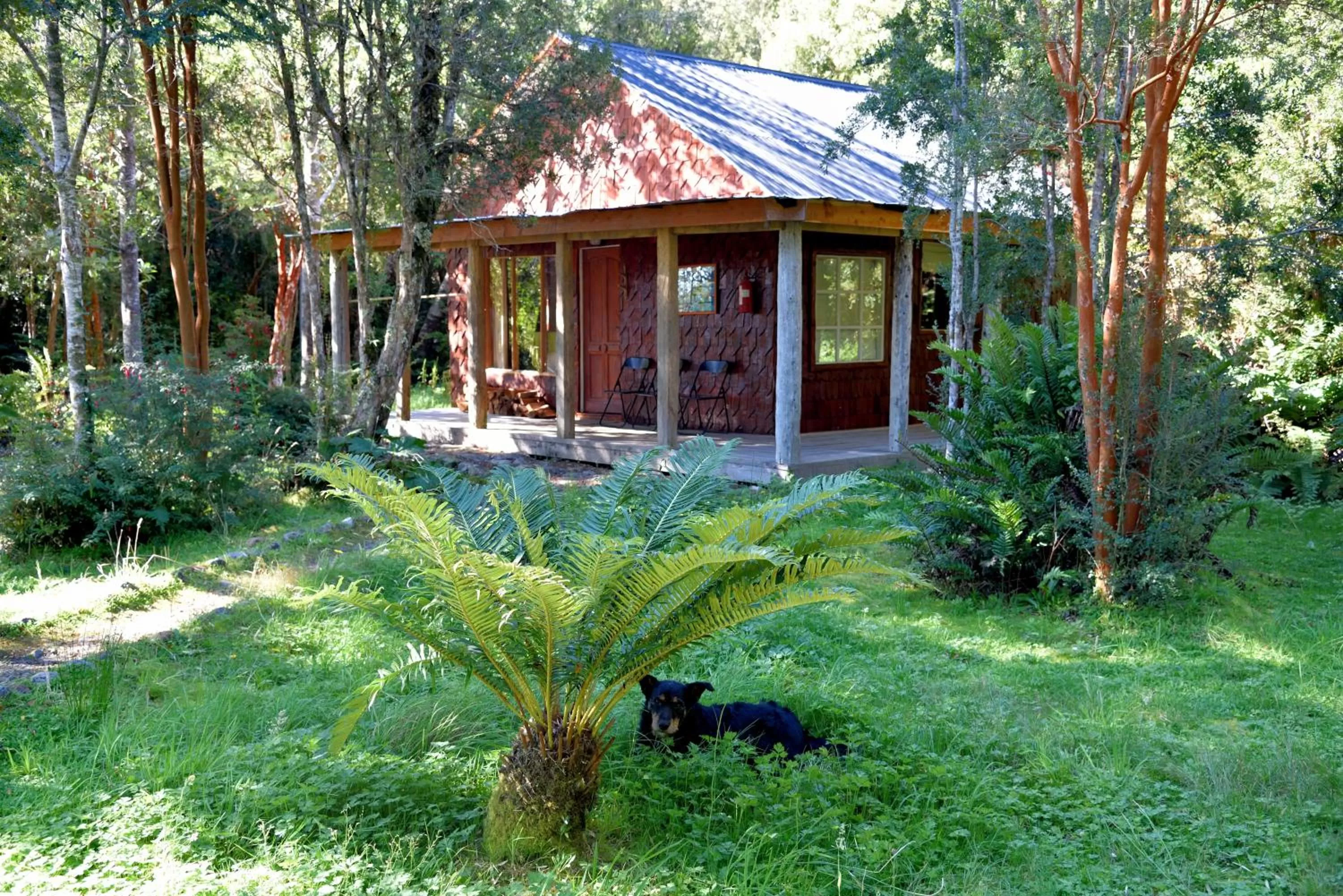 Photo of the whole room in Posada Queulat