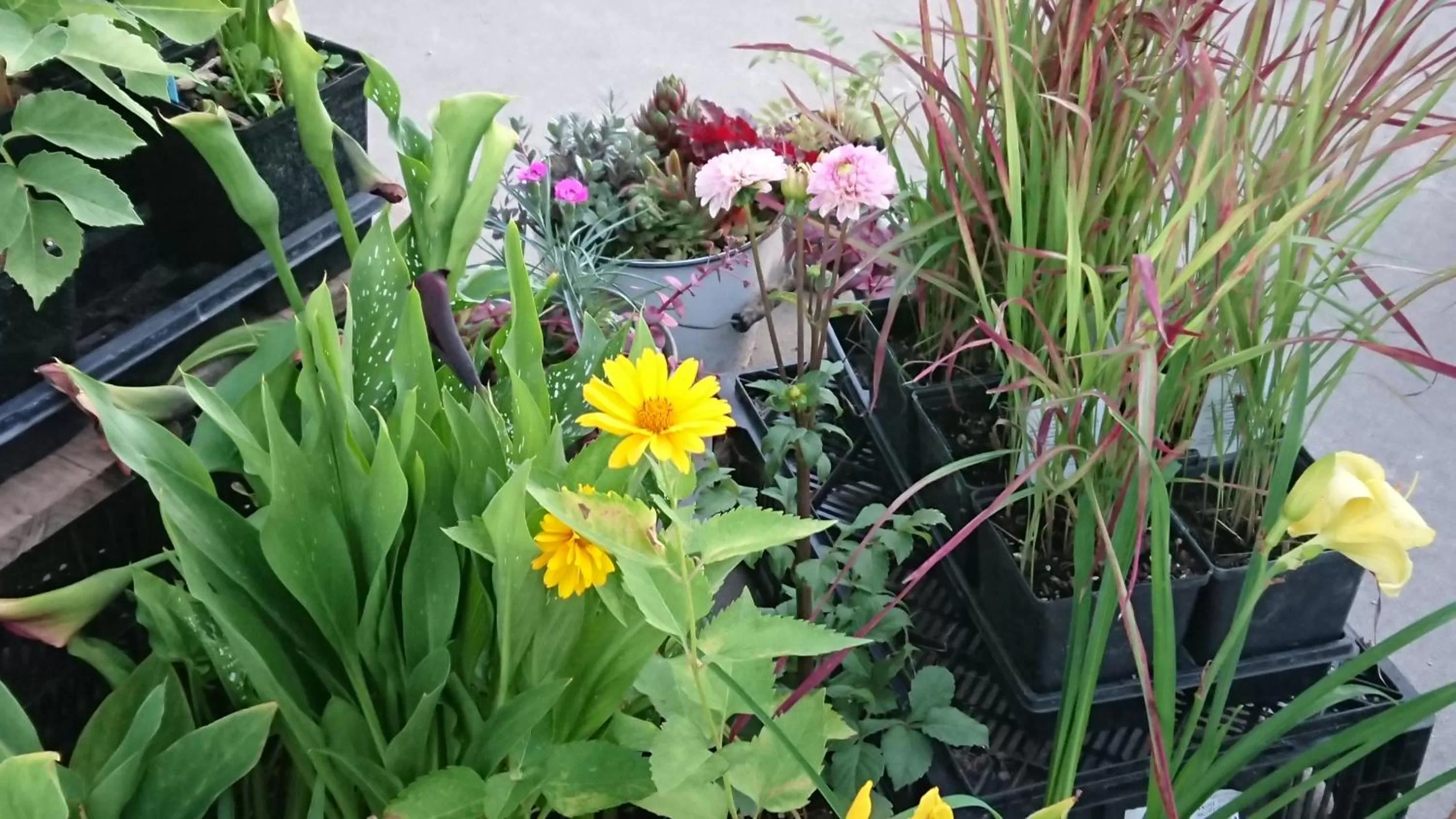 Neighbourhood in Colborne Bed and Breakfast